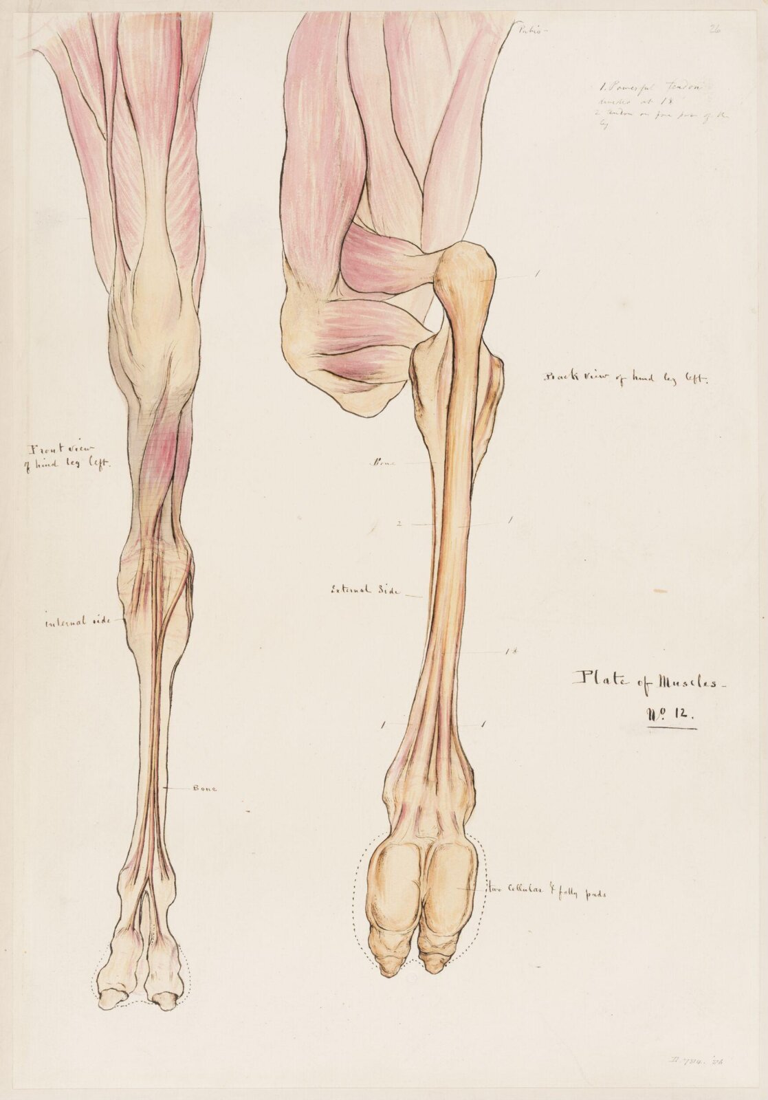 Drawing, Elijah Walton, 1865