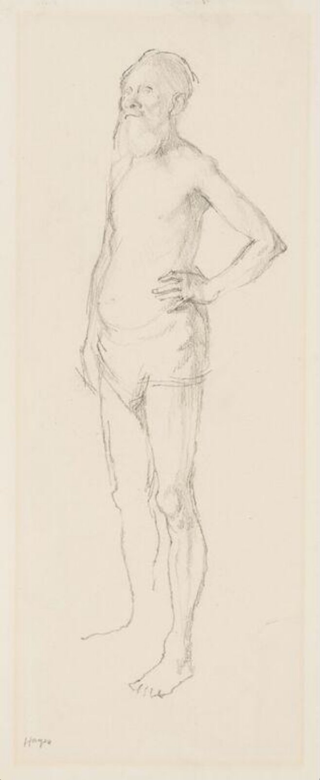 Drawing, Colin Hayes, c.1954