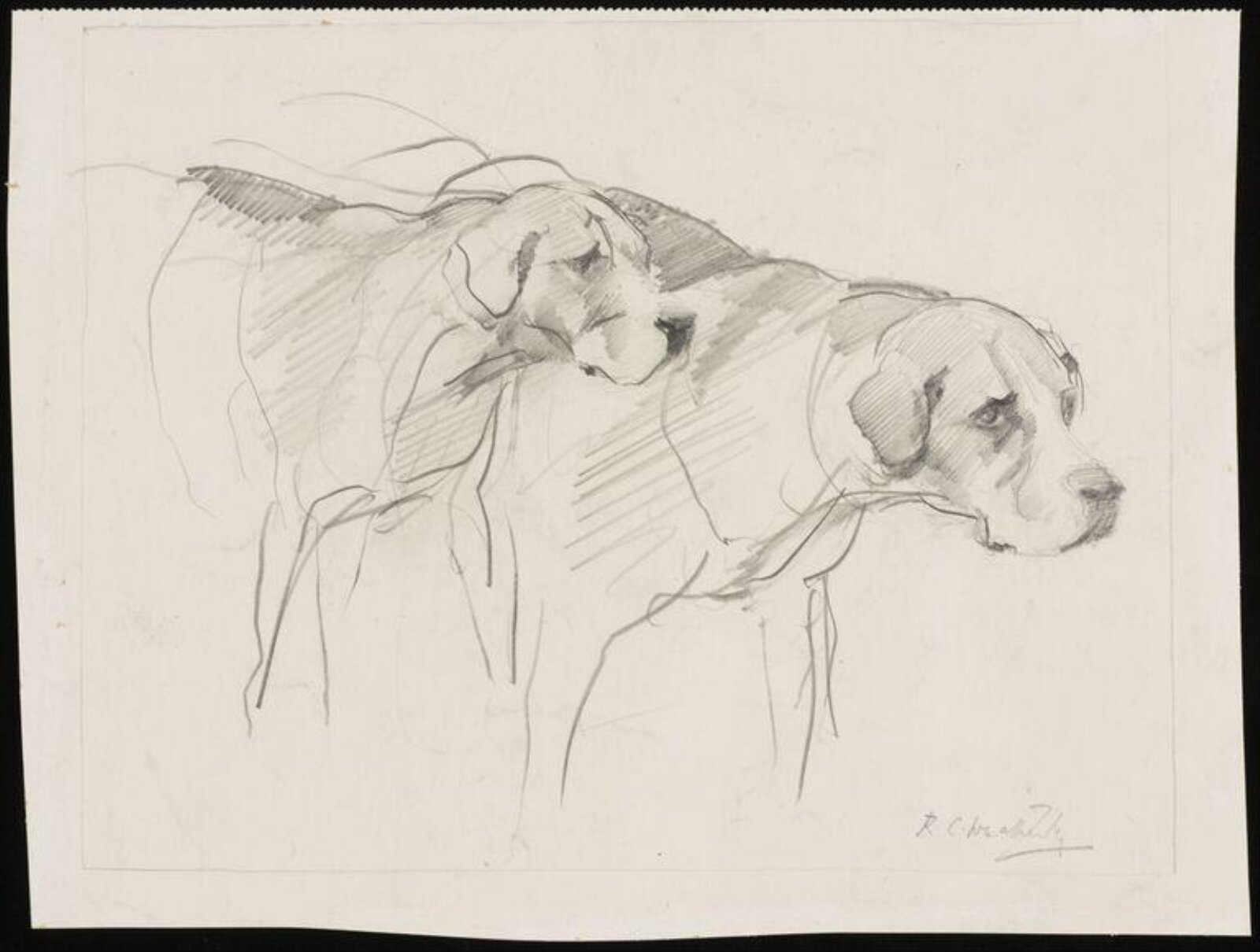 Two foxhounds, Richard Copeland Weatherby, early 20th century