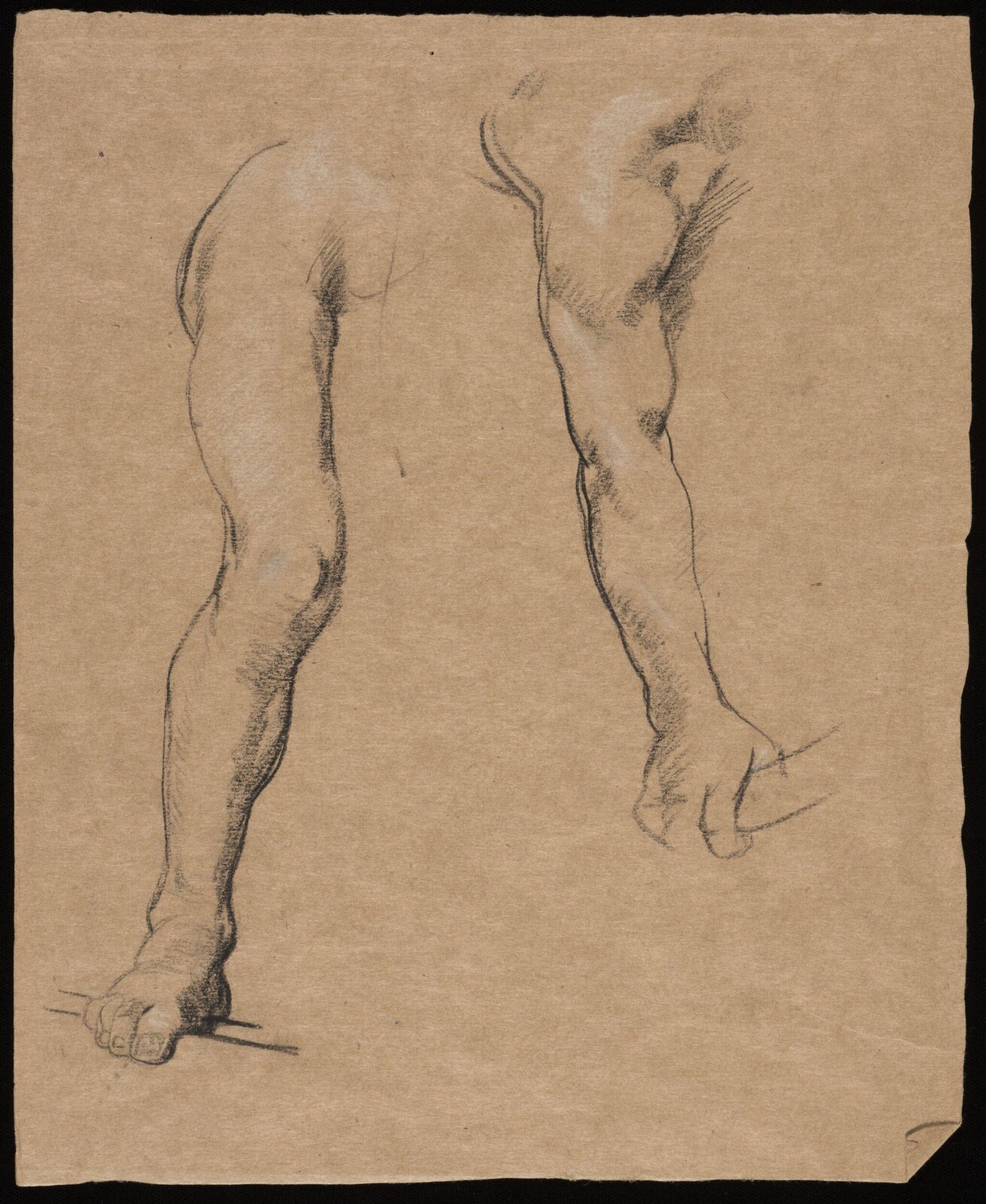 Drawing, Glyn Warren Philpot