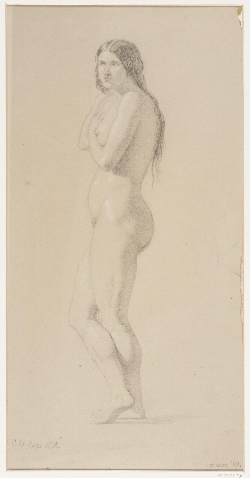 Life studies, Cope, 1858