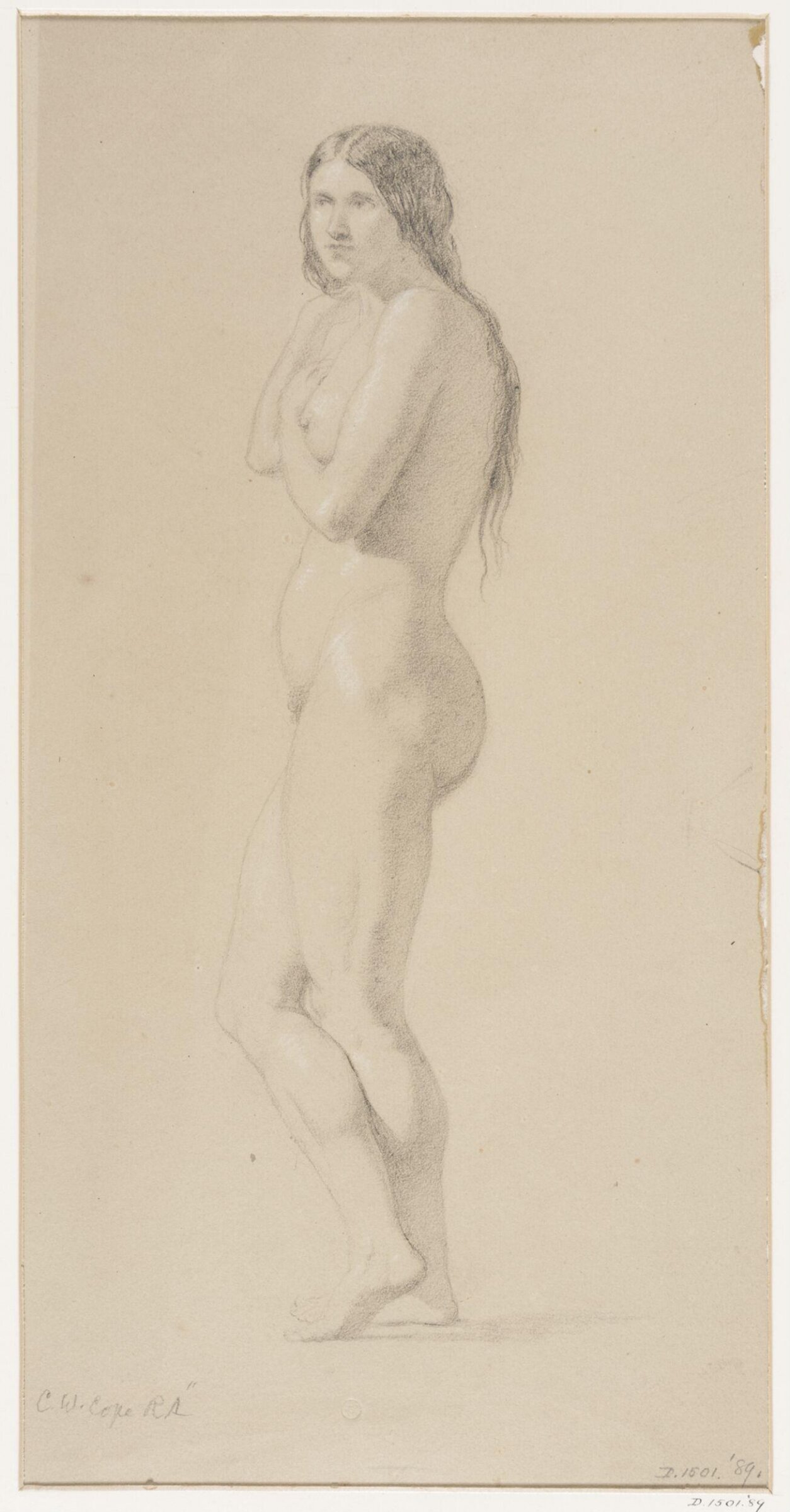 Life studies, Cope, 1858