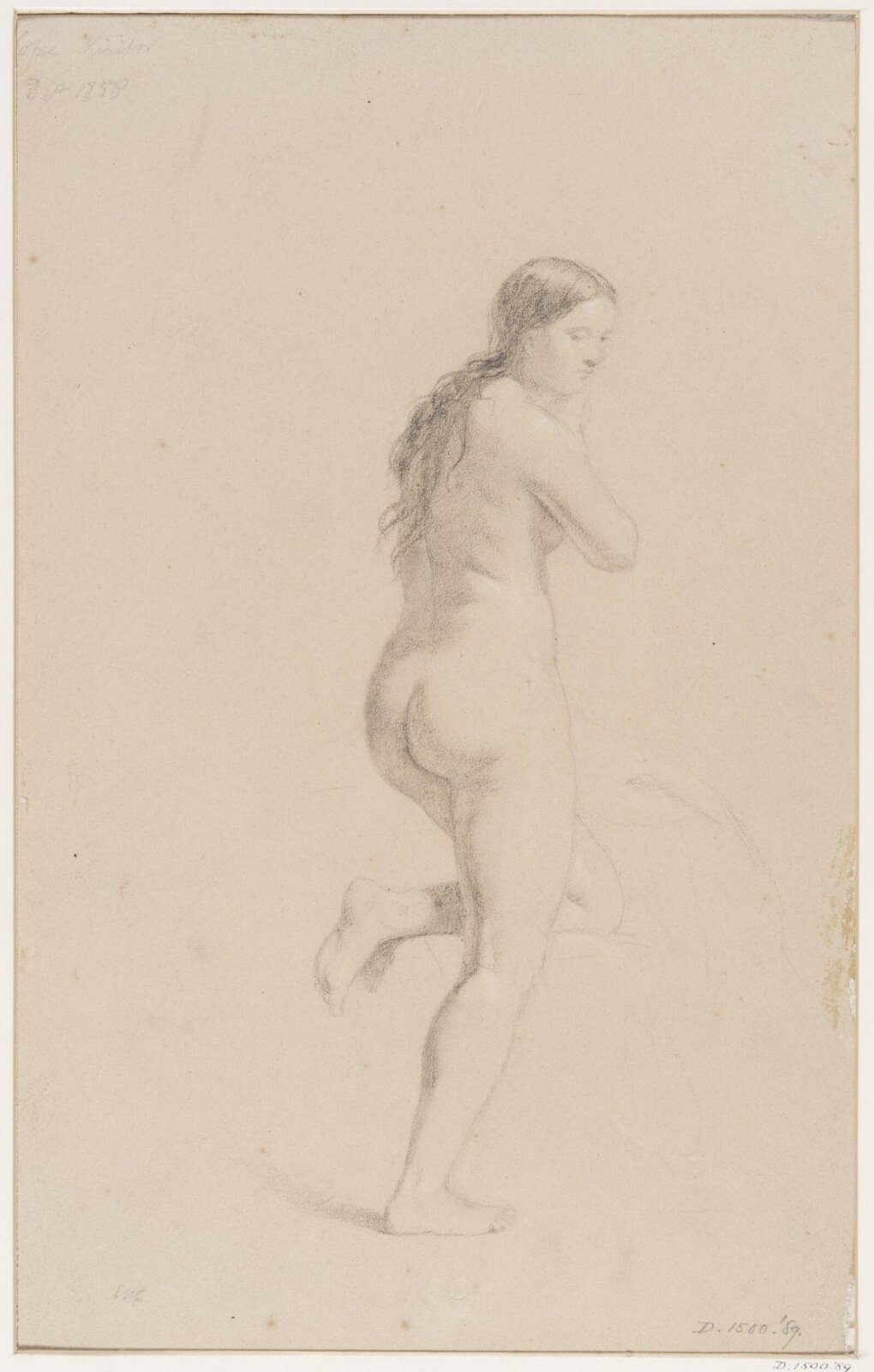 Life studies, Cope, 1856