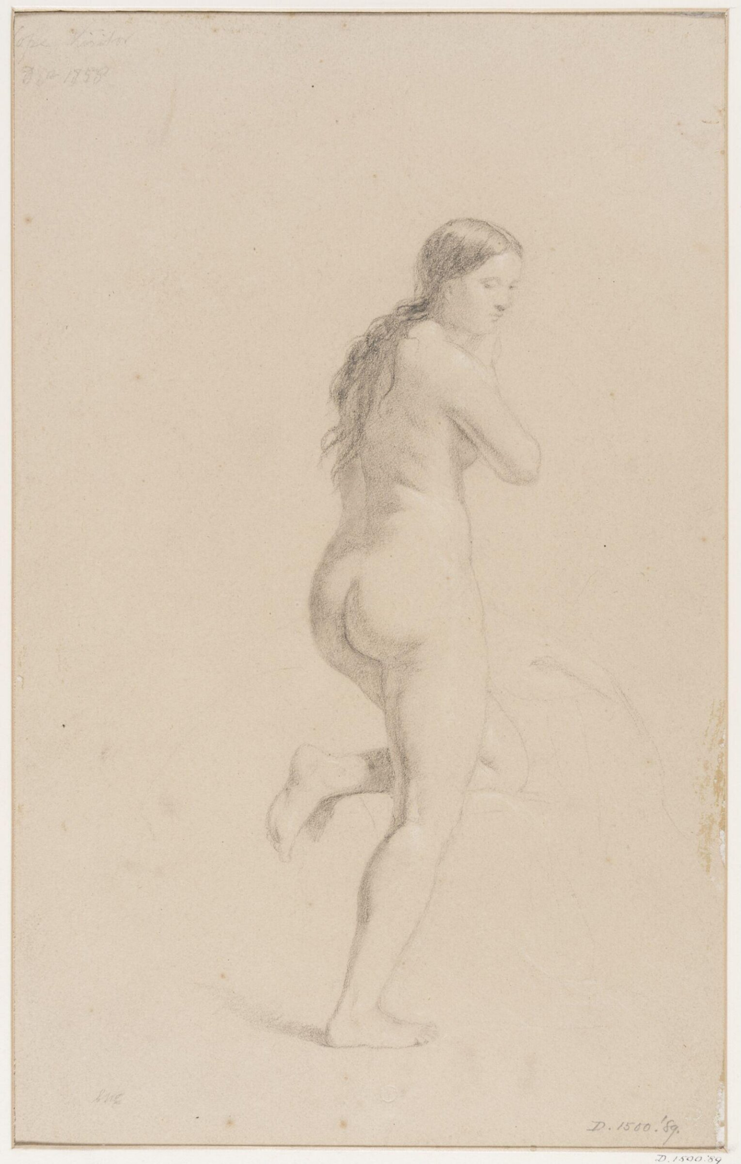Life studies, Cope, 1856