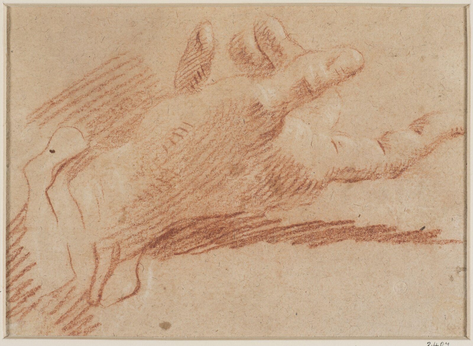 Drawing