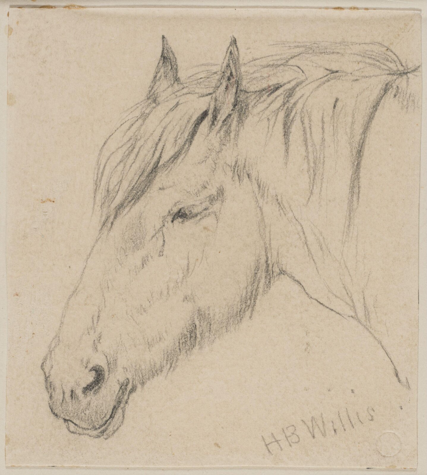Drawing