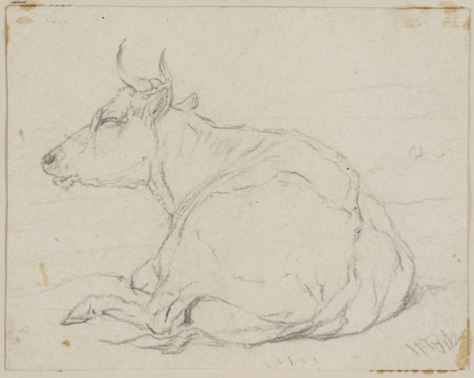 Drawing