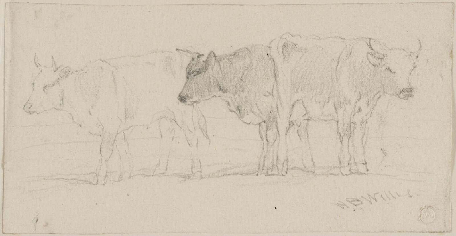 Drawing