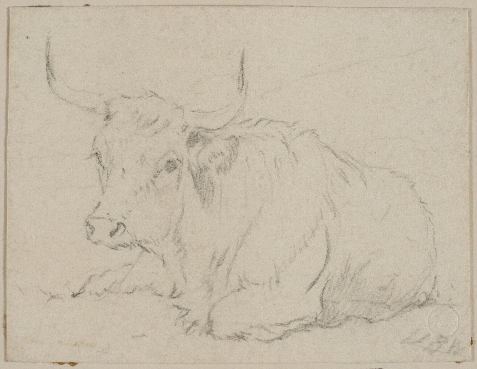 Drawing
