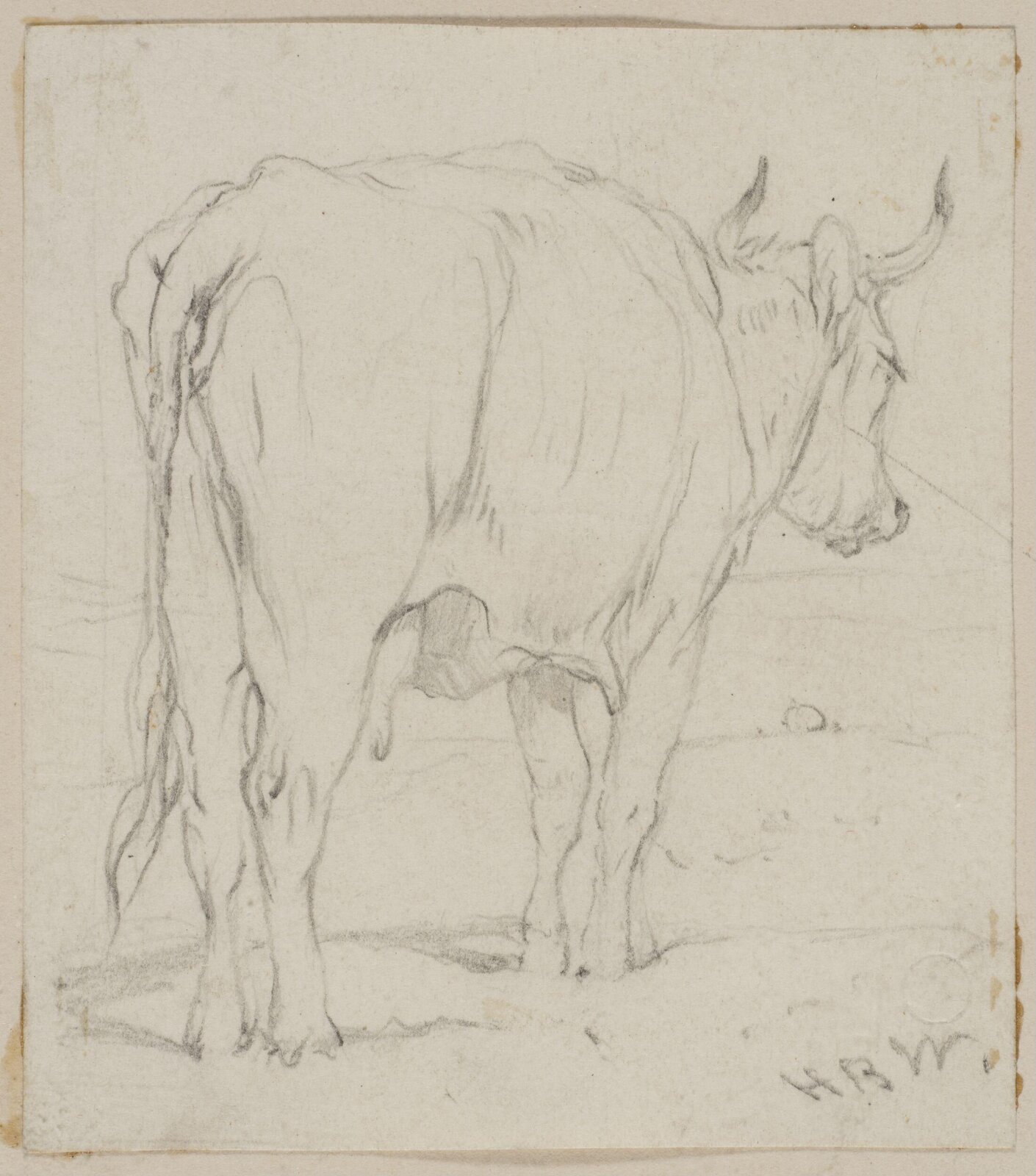 Drawing
