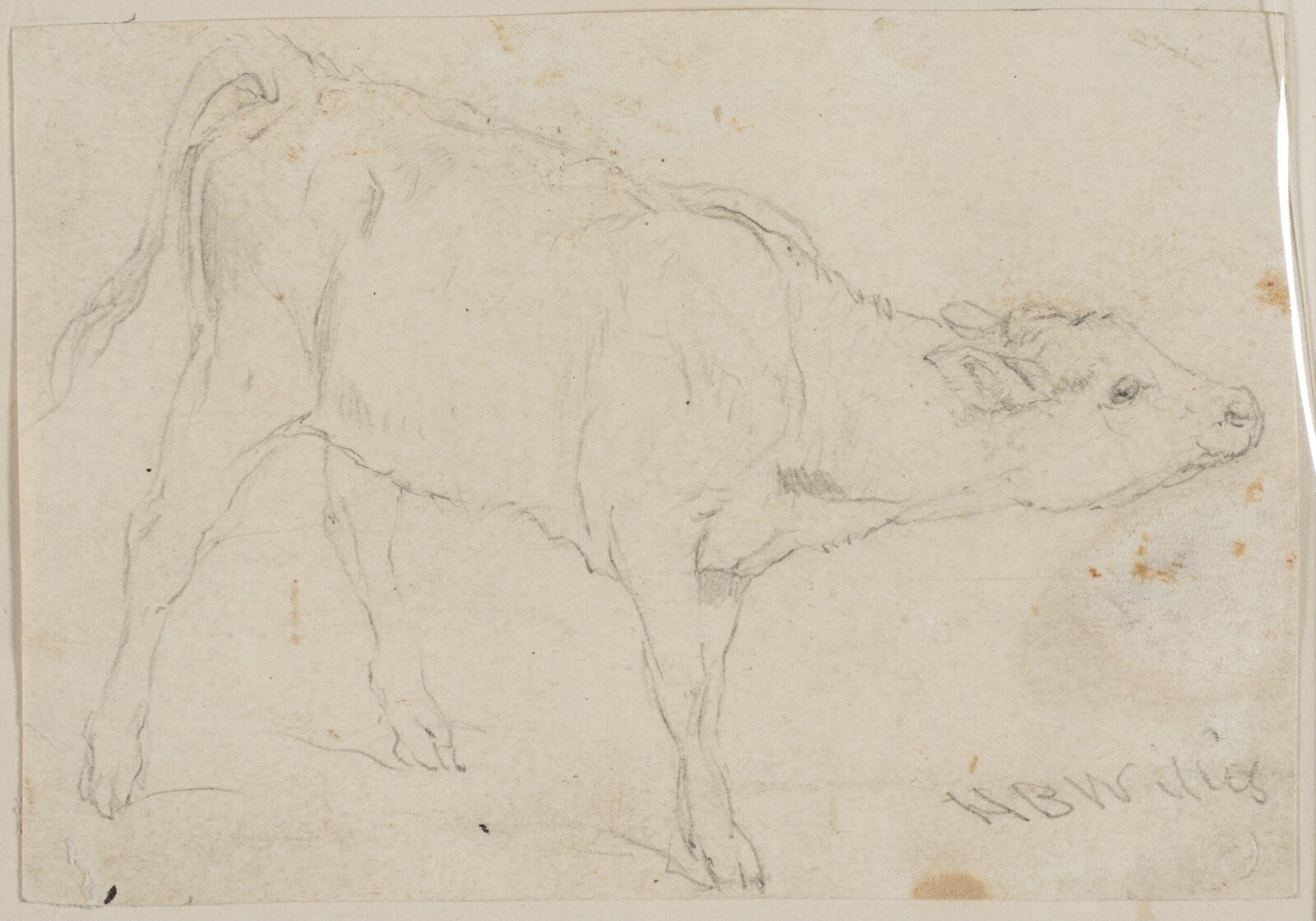Drawing