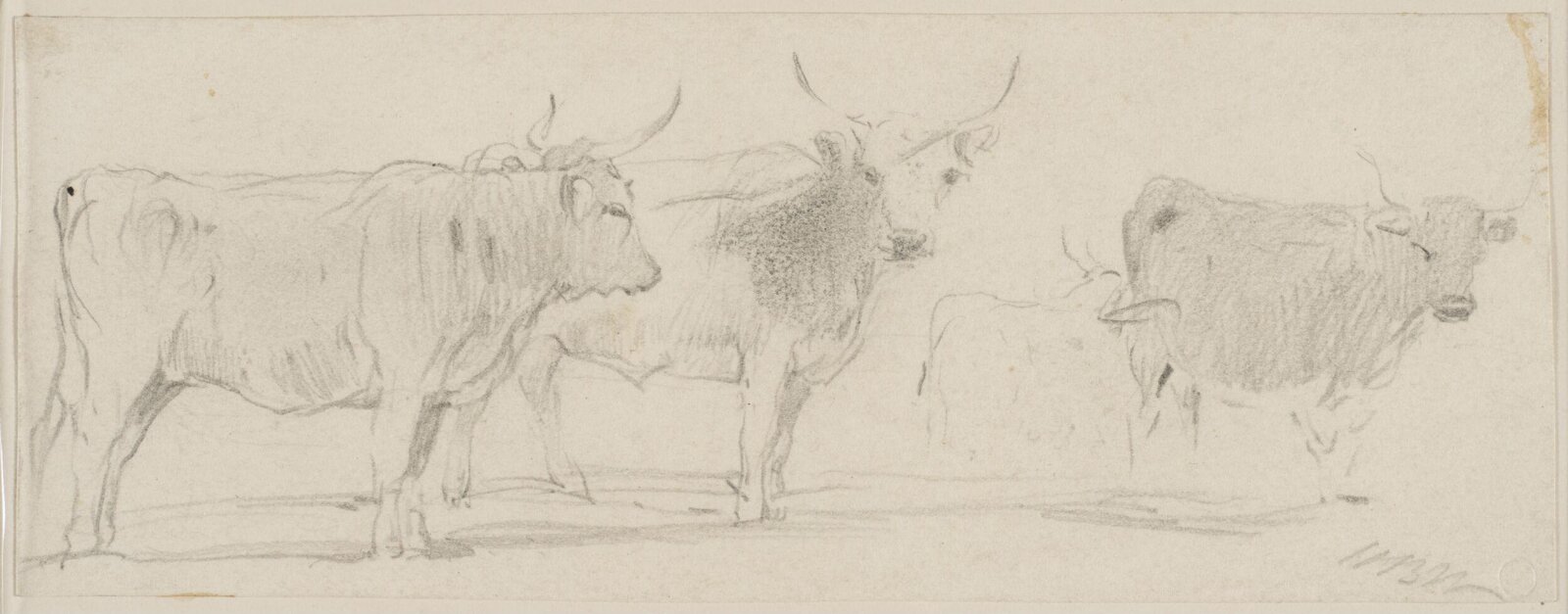 Drawing