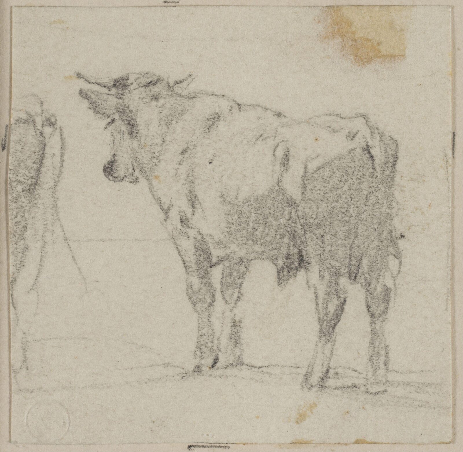 Drawing