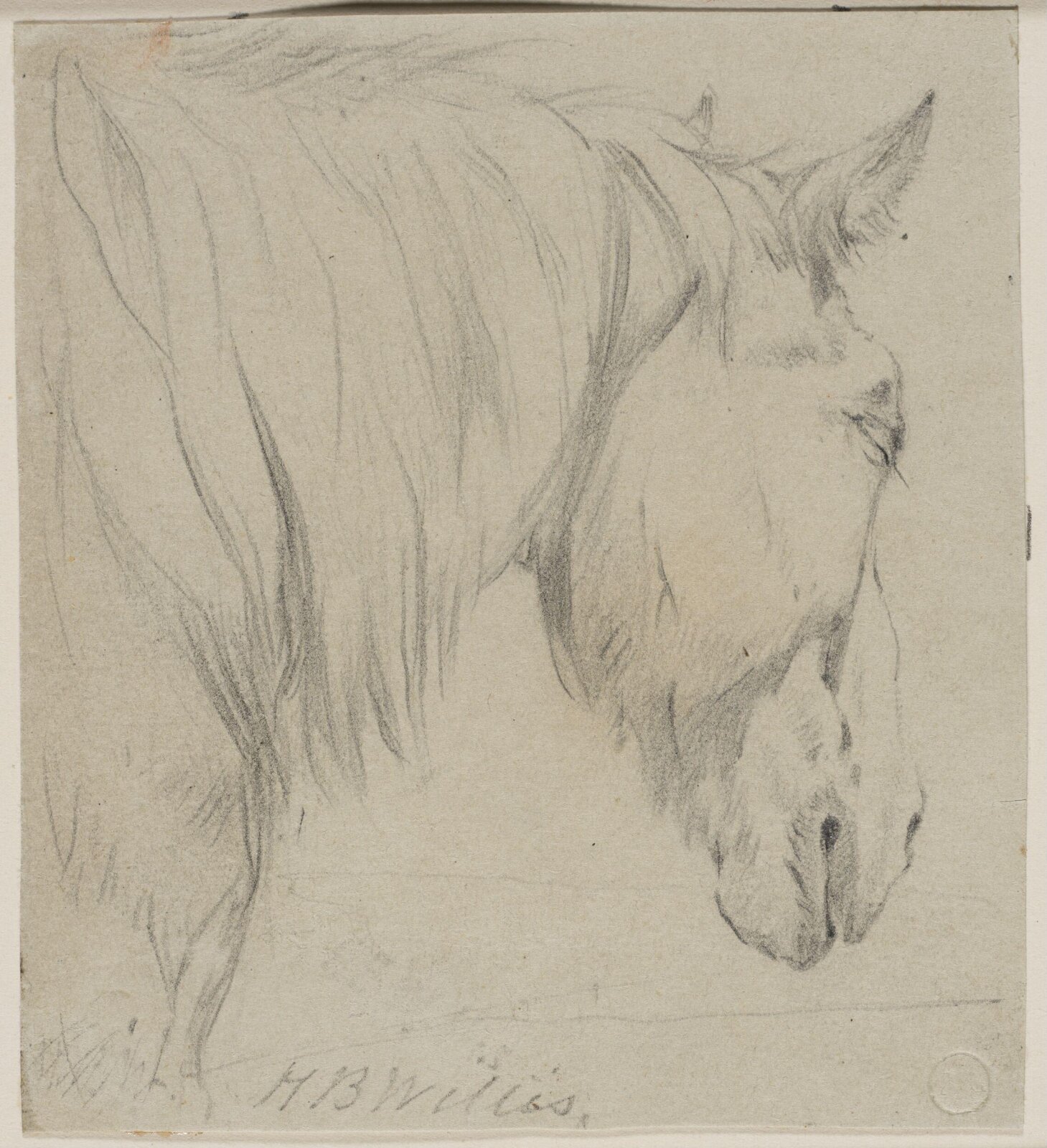 Drawing