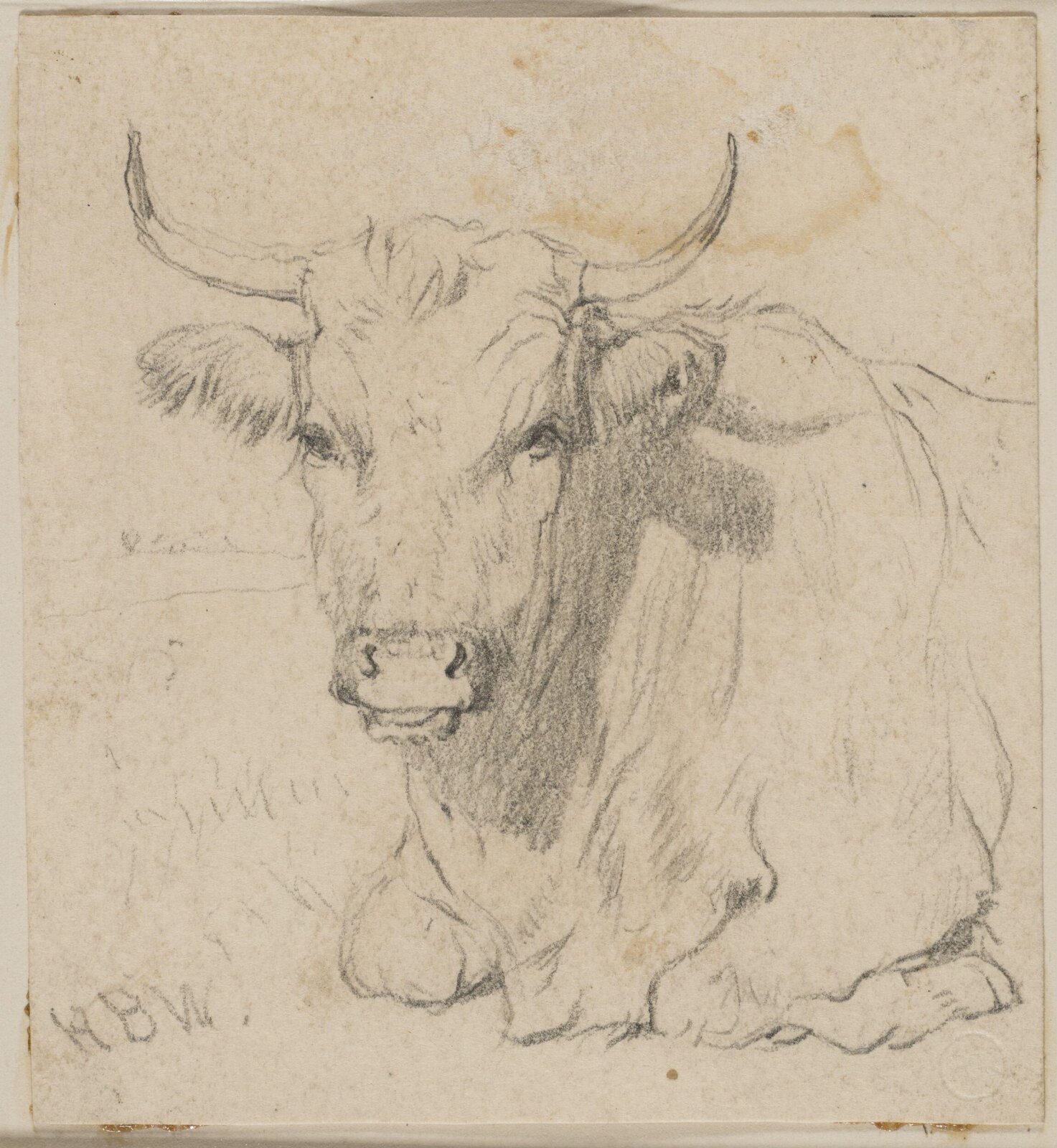 Drawing