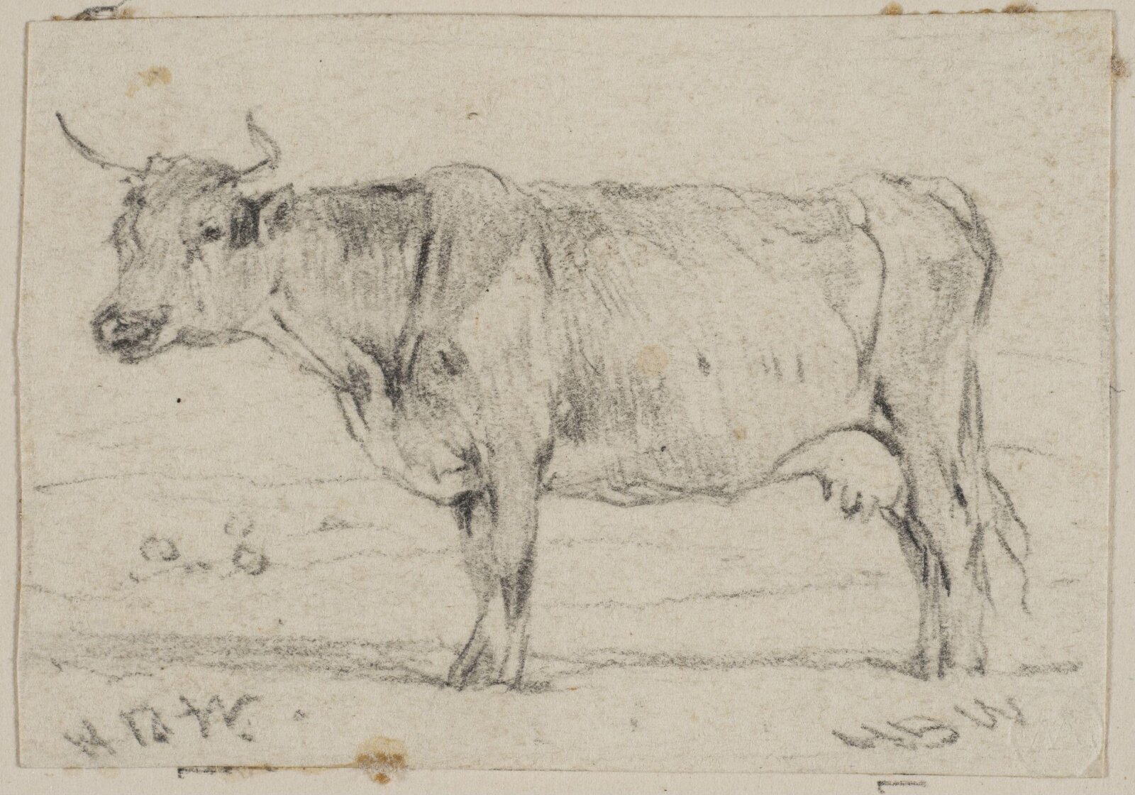 Drawing