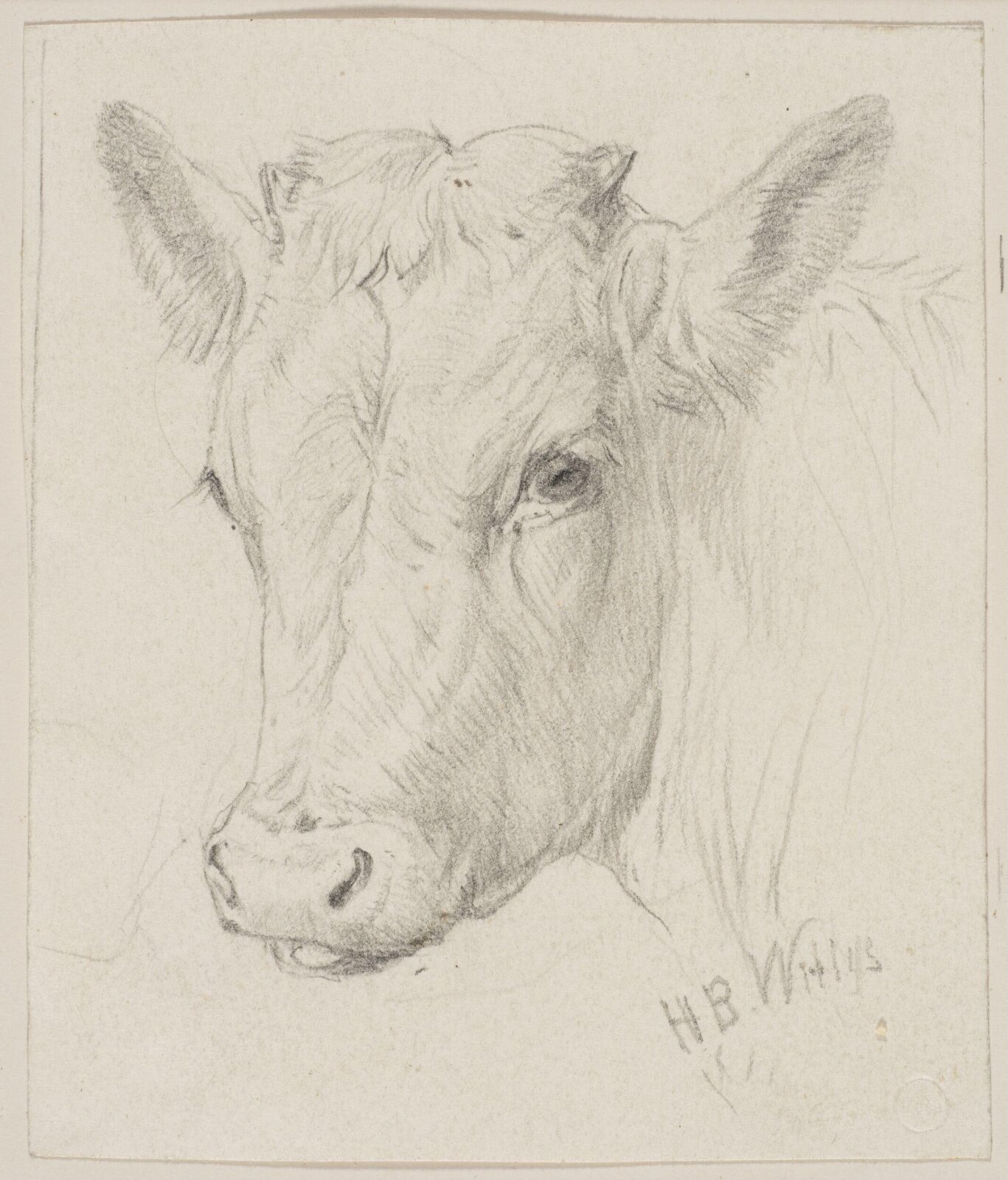 Drawing