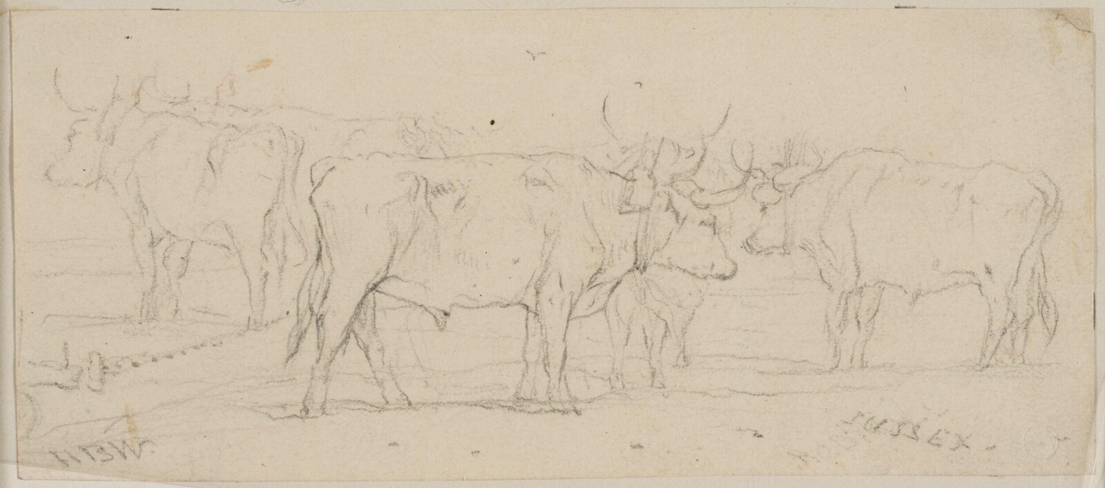 Drawing