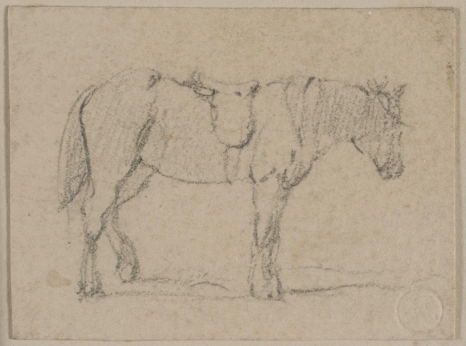 Drawing