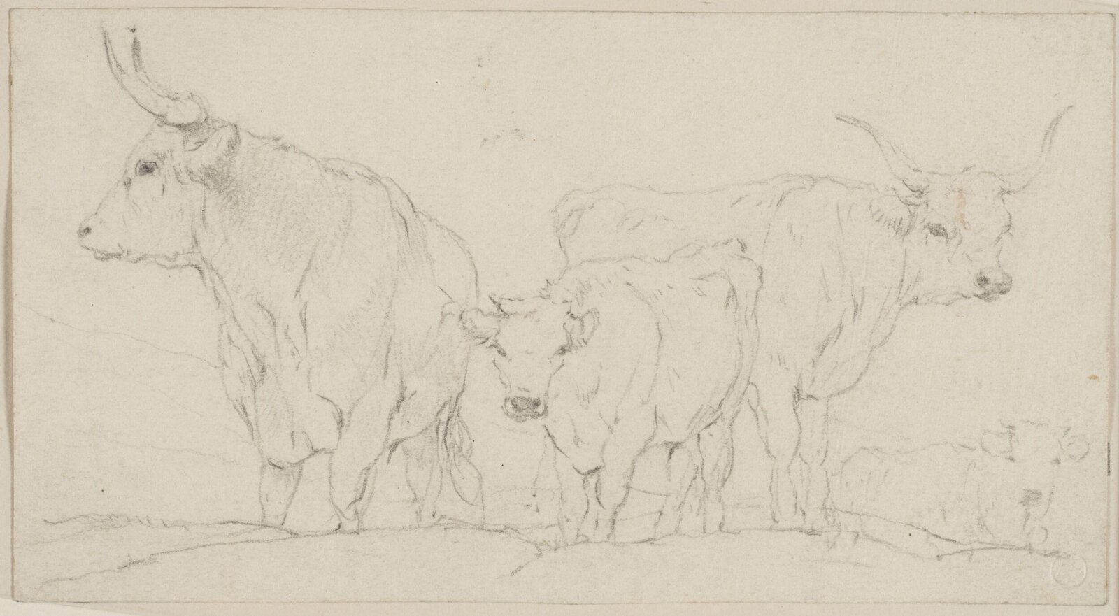 Drawing