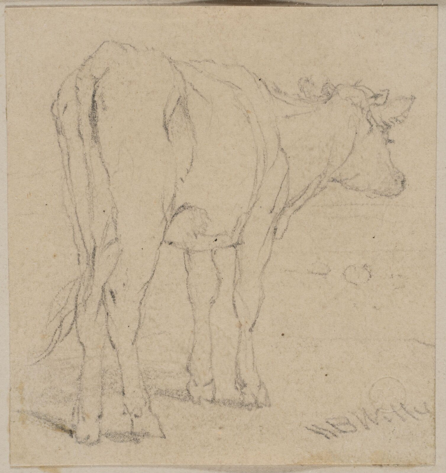 Drawing