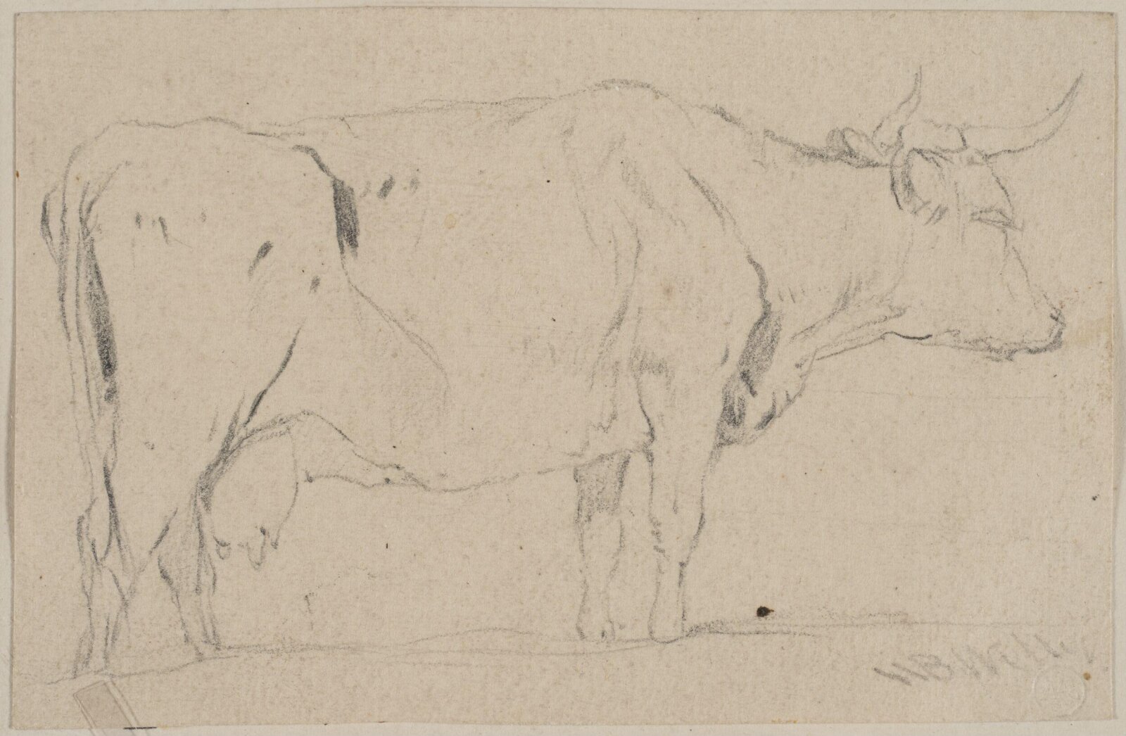 Drawing