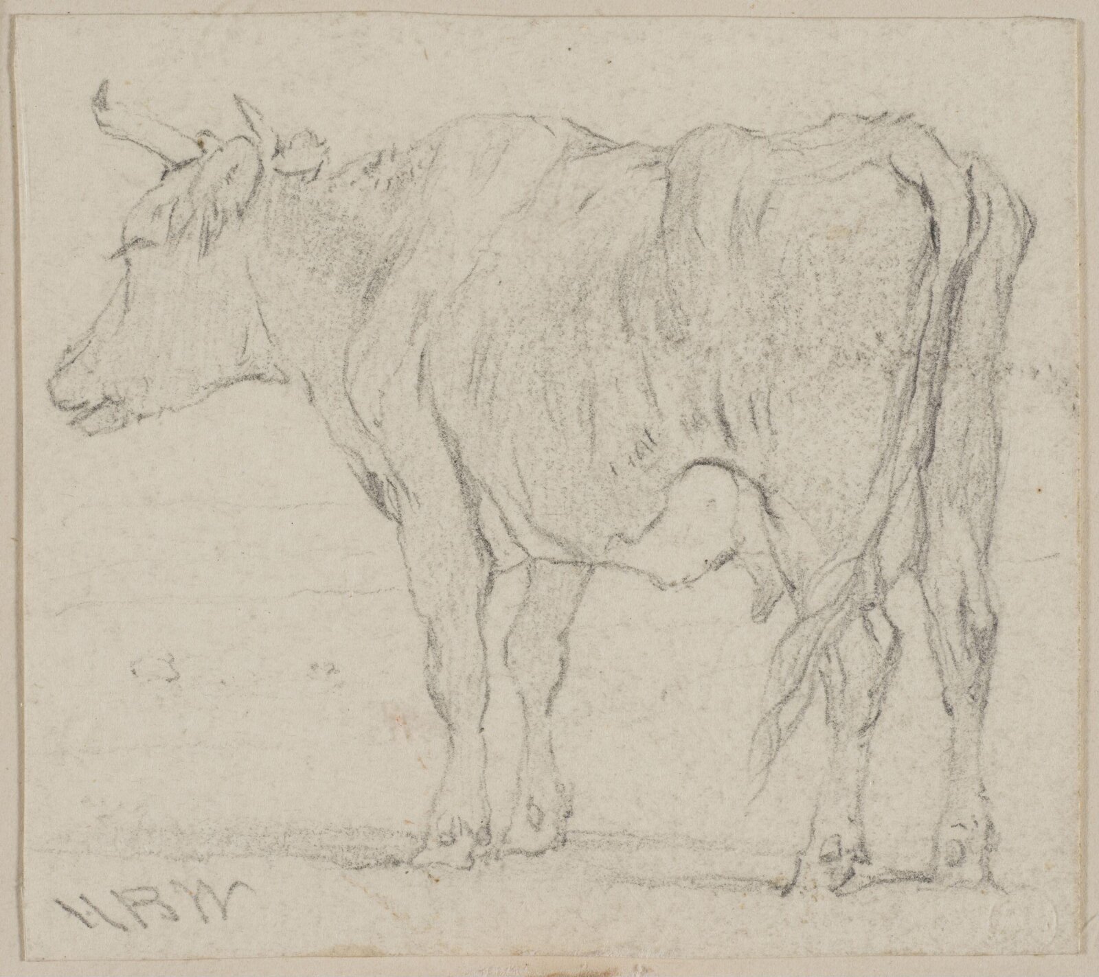 Drawing