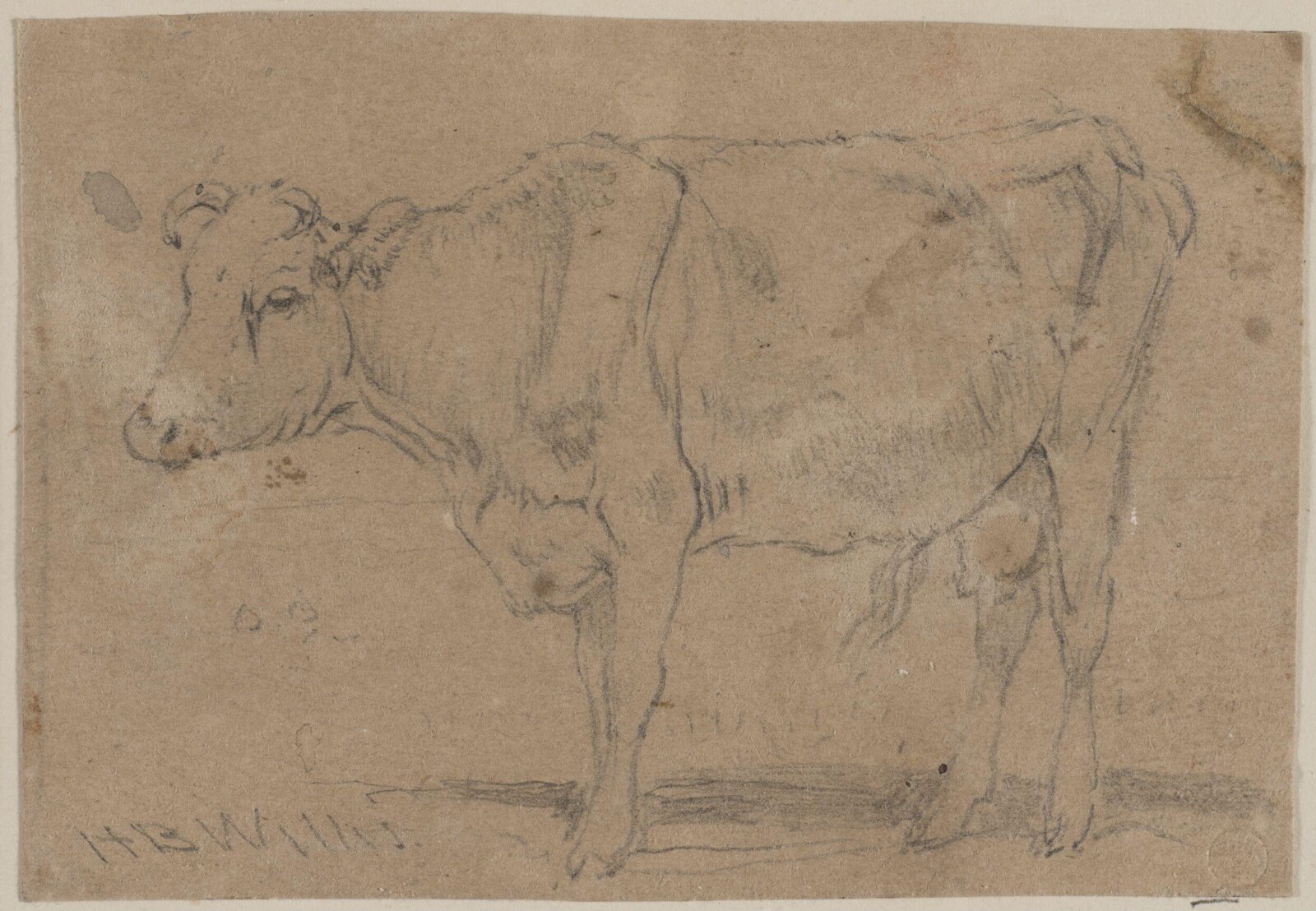 Drawing