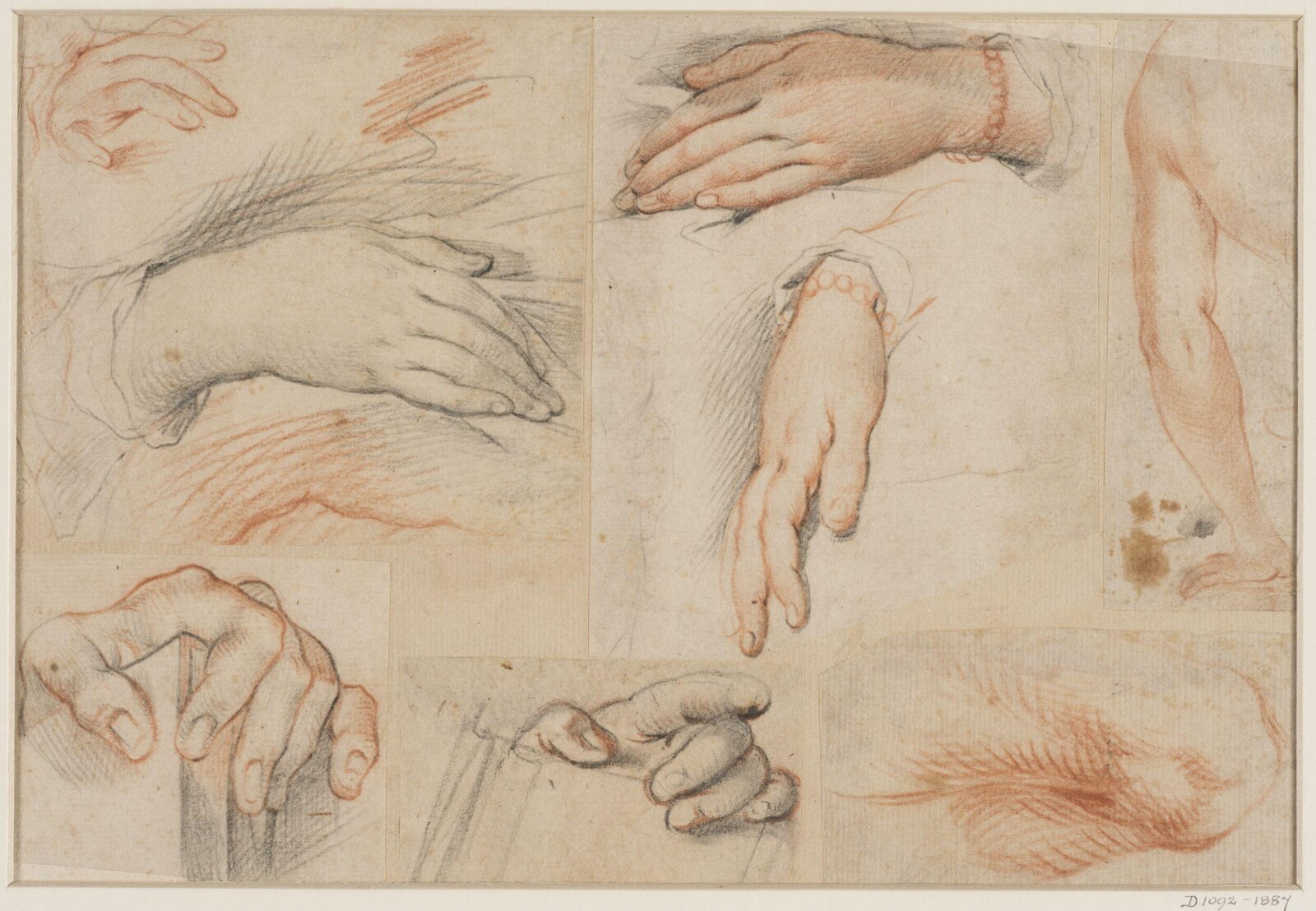 Drawing