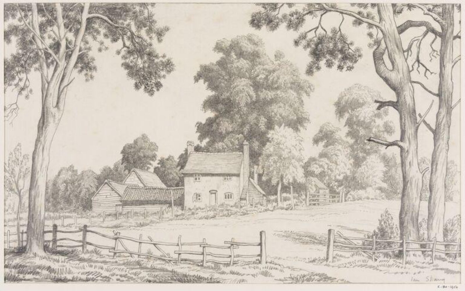 Birch Grove Farm, Ian Strang