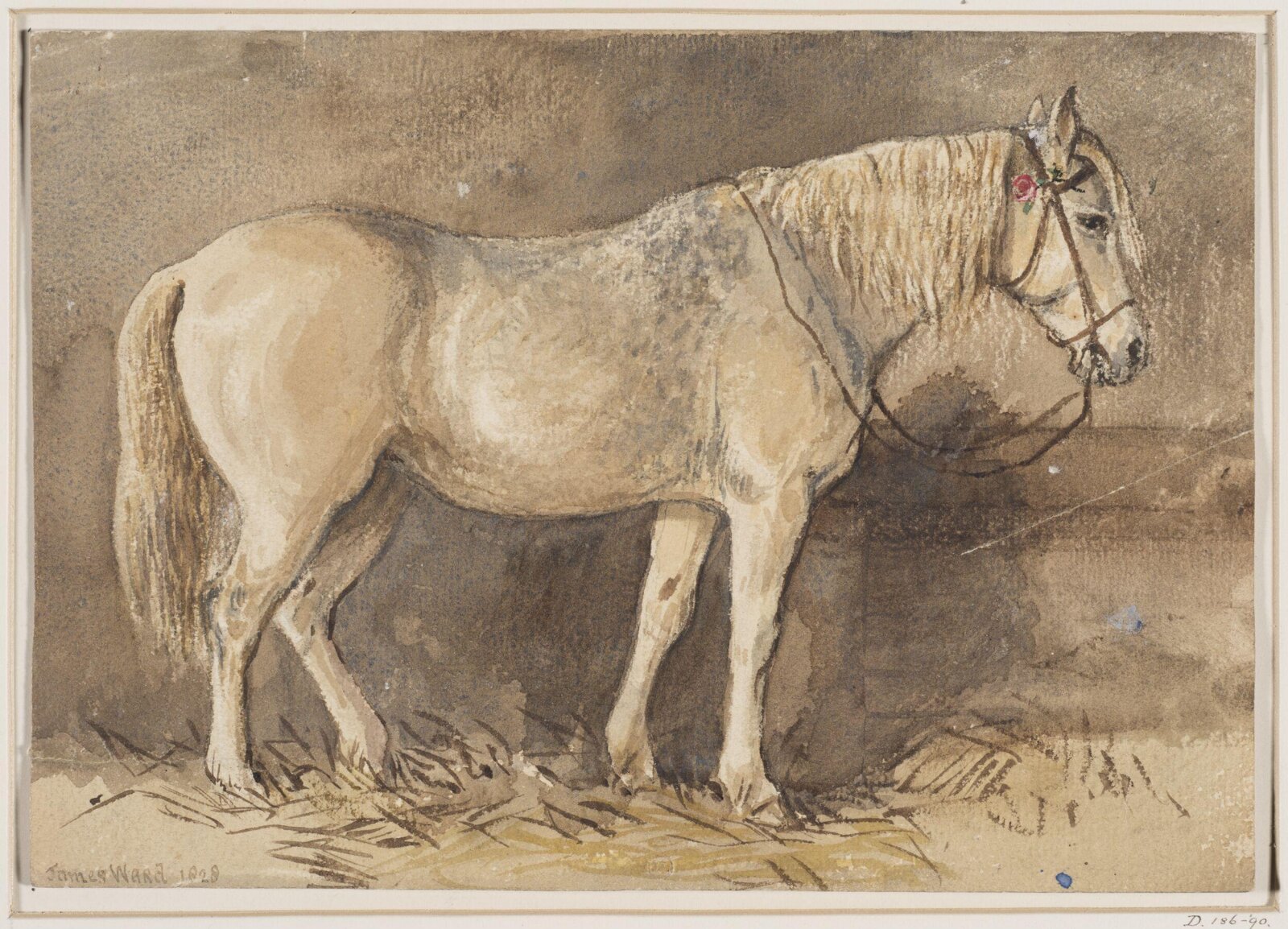 Drawing