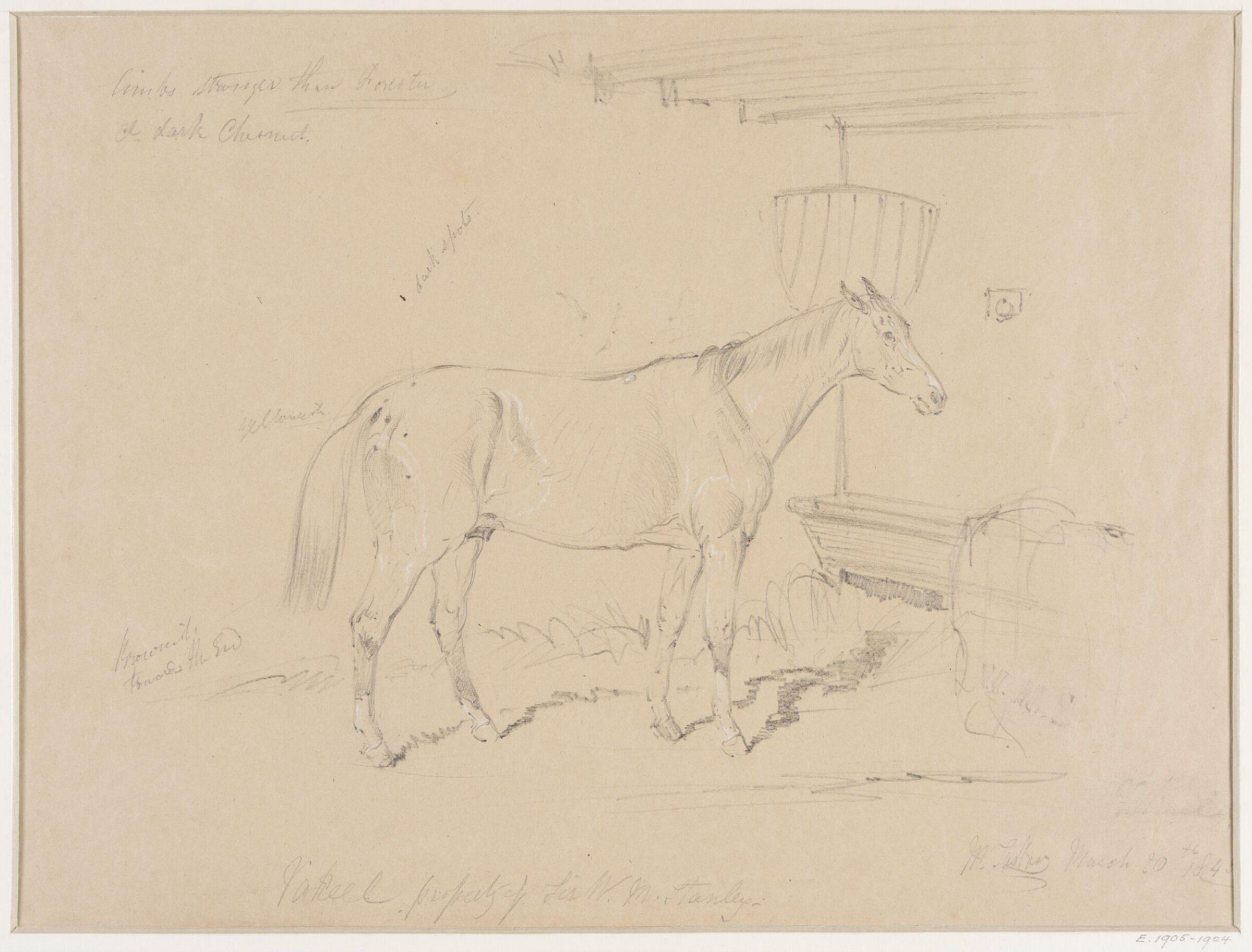 Vakeel, property of Sir W. M. Stanley, William H. Tasker, 20 March 1843