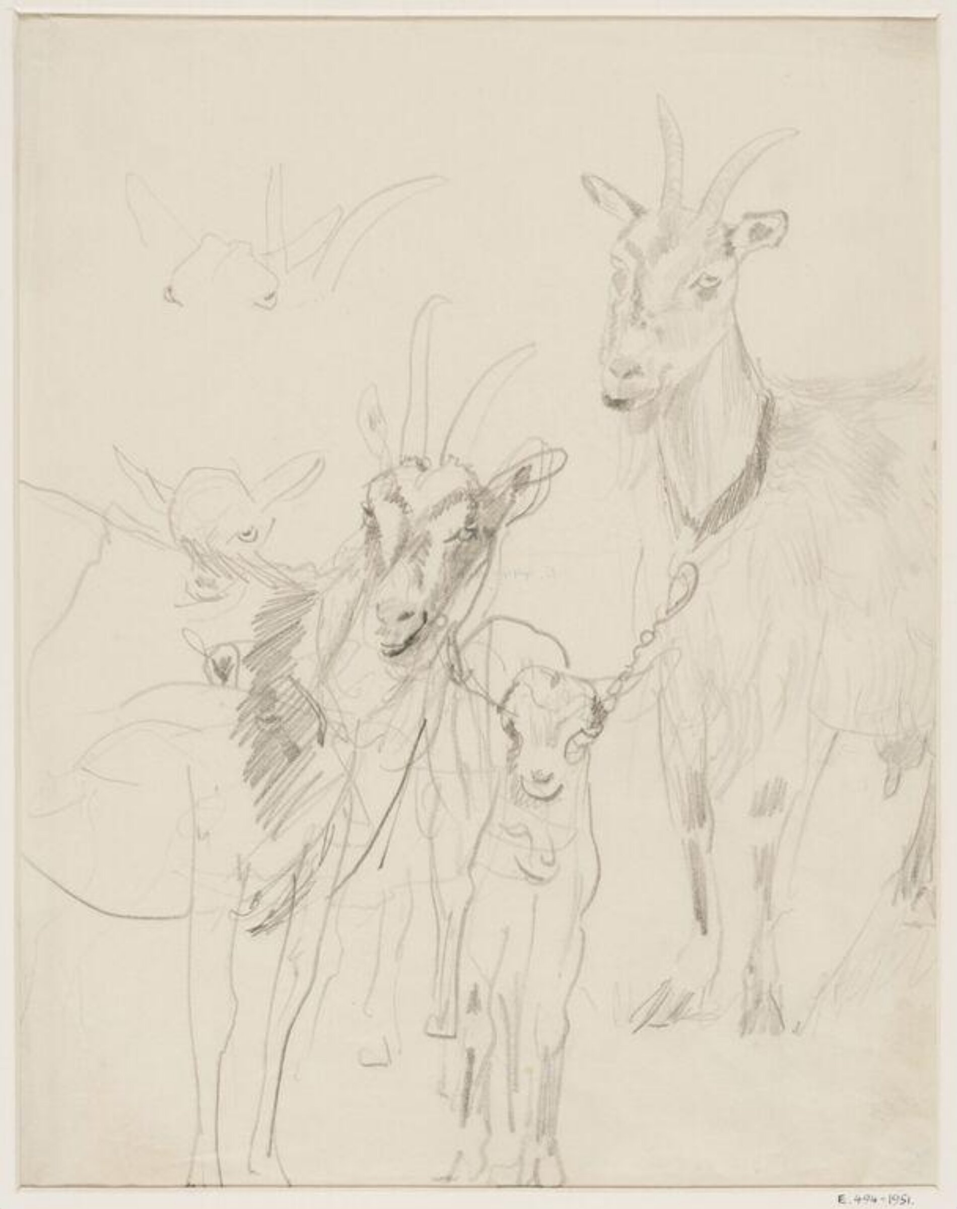 Studies of a goat with a kid, Ethel Walker, early 20th century