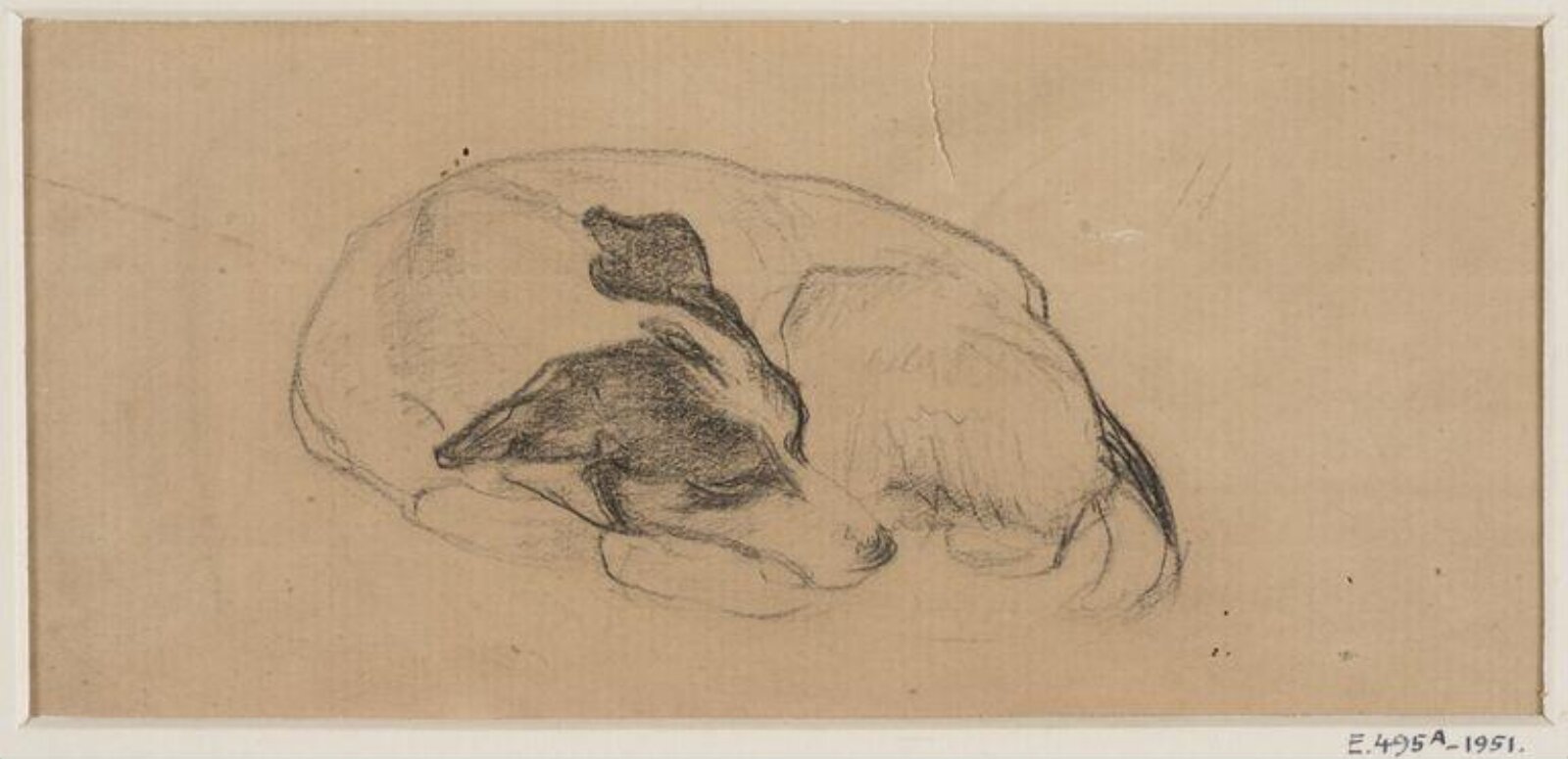 Study of sleeping dog, Ethel Walker, early 20th century