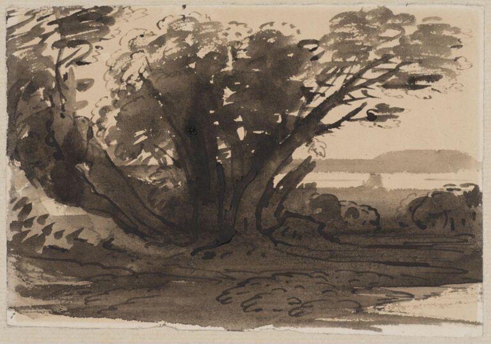 Drawing
