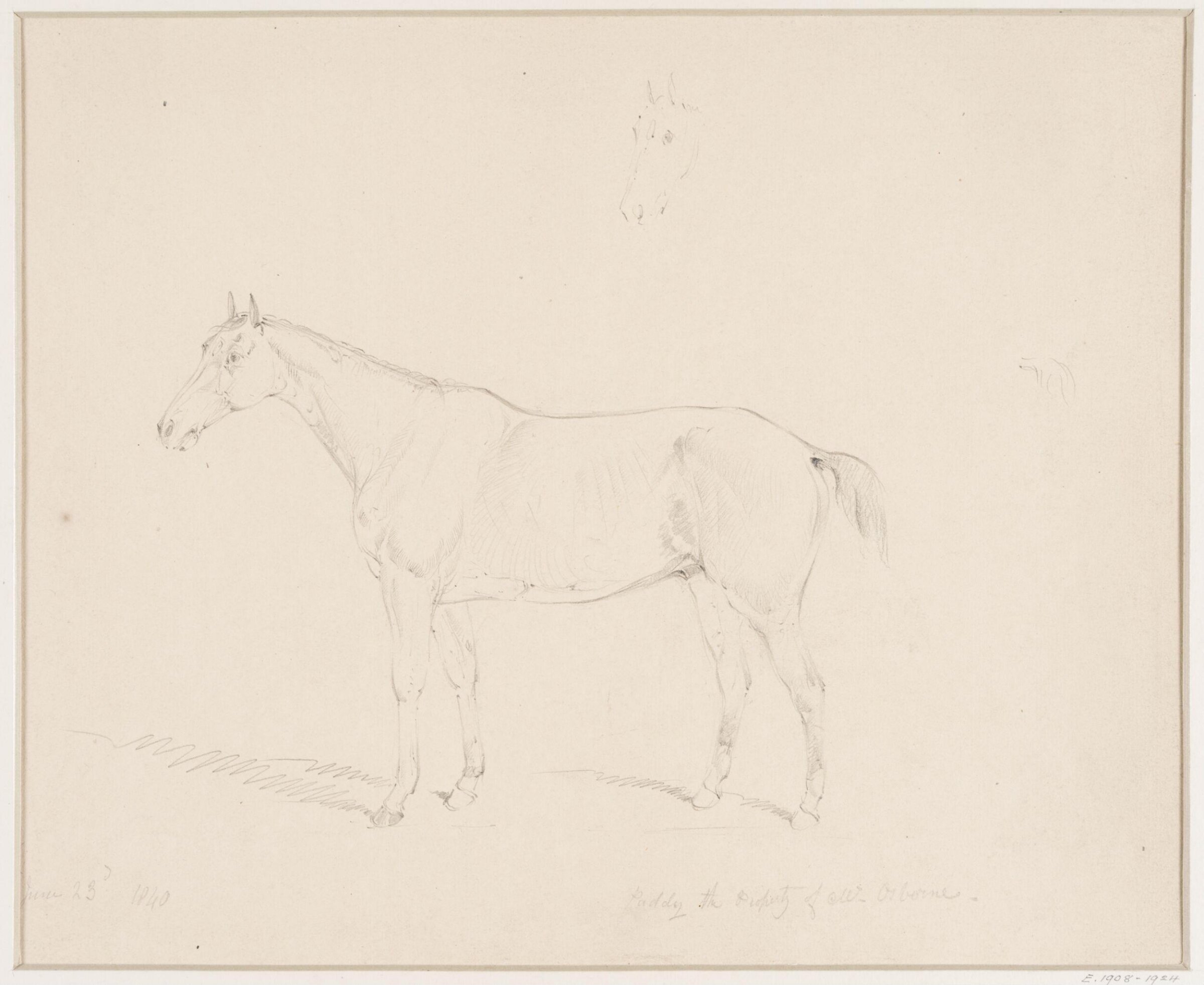 Paddy the property of Mr. Osborne, William H. Tasker, 23 June 1840
