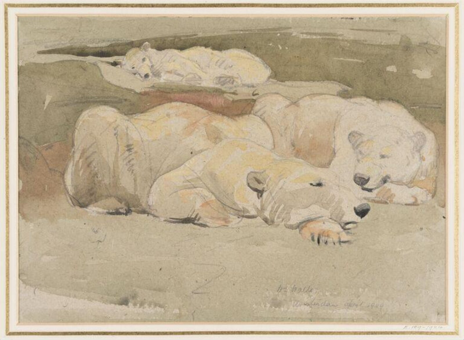 Polar Bears asleep, William Walls, April 1909