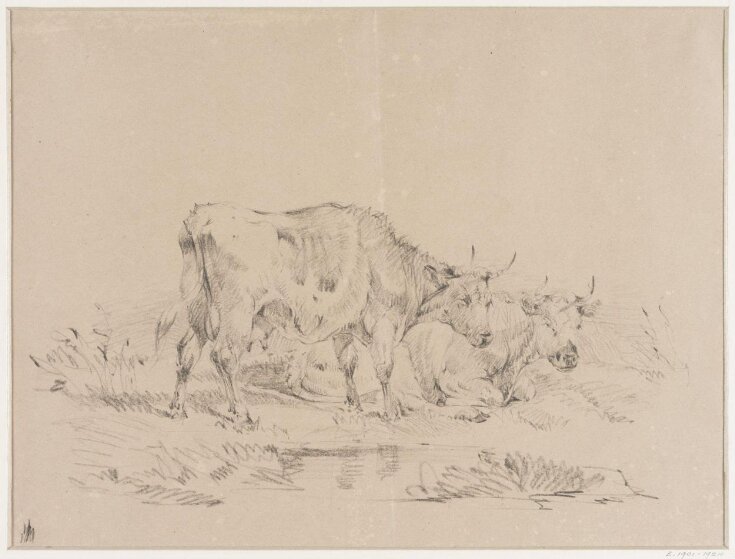 Drawing | Tasker, William H. | Explore The Collections