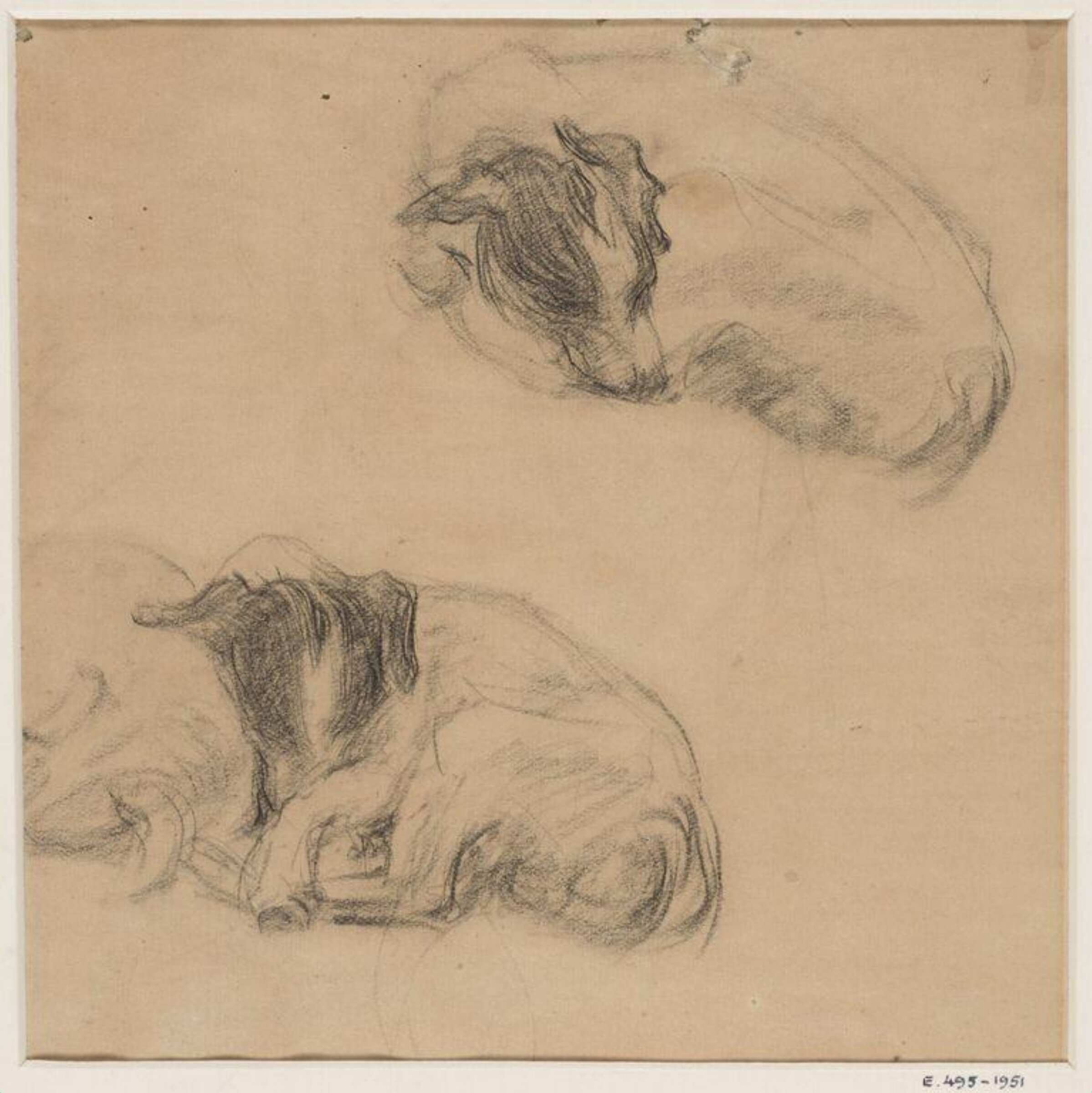Study of two sleeping dogs, Ethel Walker, early 20th century