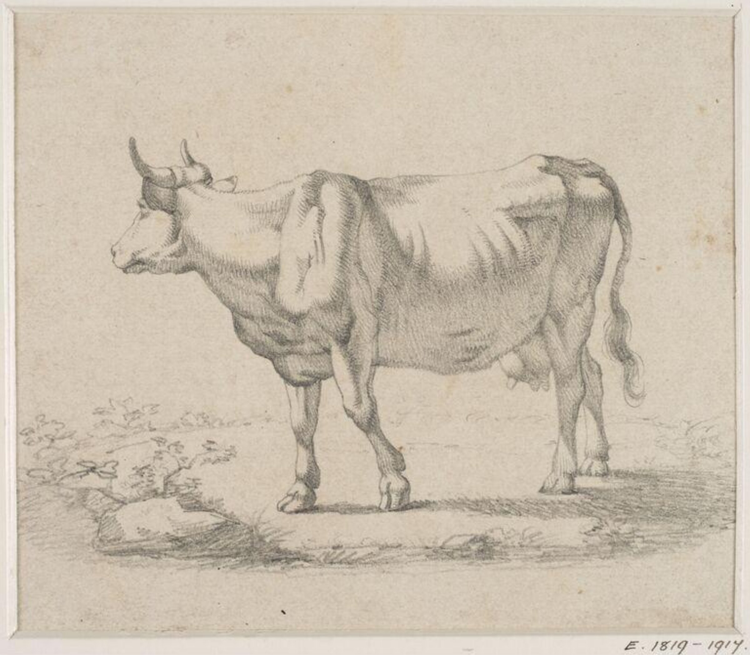 Drawing, James Ward, c. late 18th century - c. early 19th century