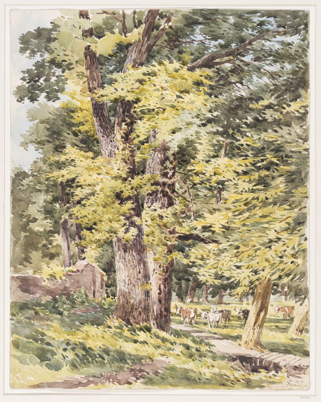 Park at Stoke, Guildford, Charles Claude Pyne, mid 19th century