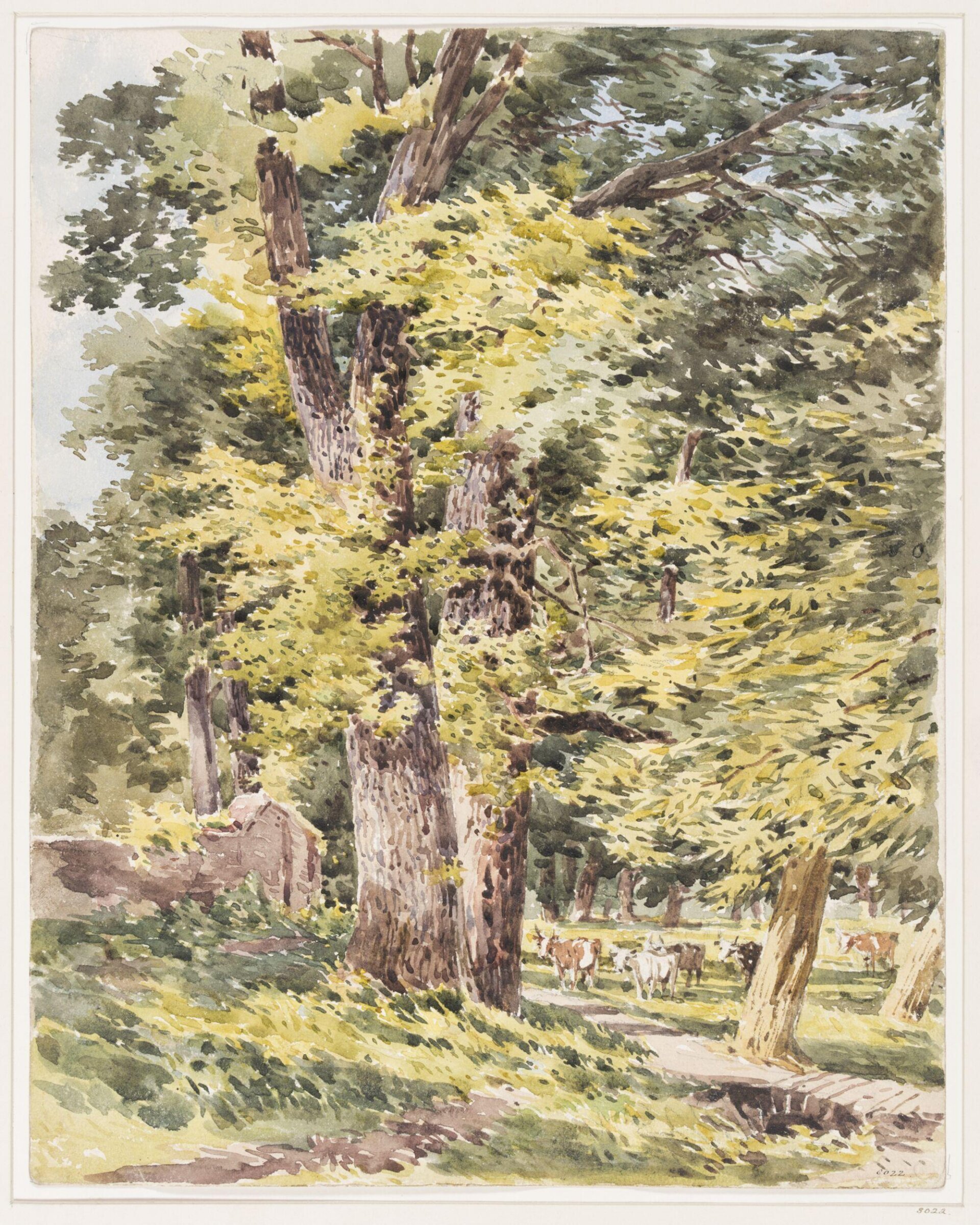 Park at Stoke, Guildford, Charles Claude Pyne, mid 19th century