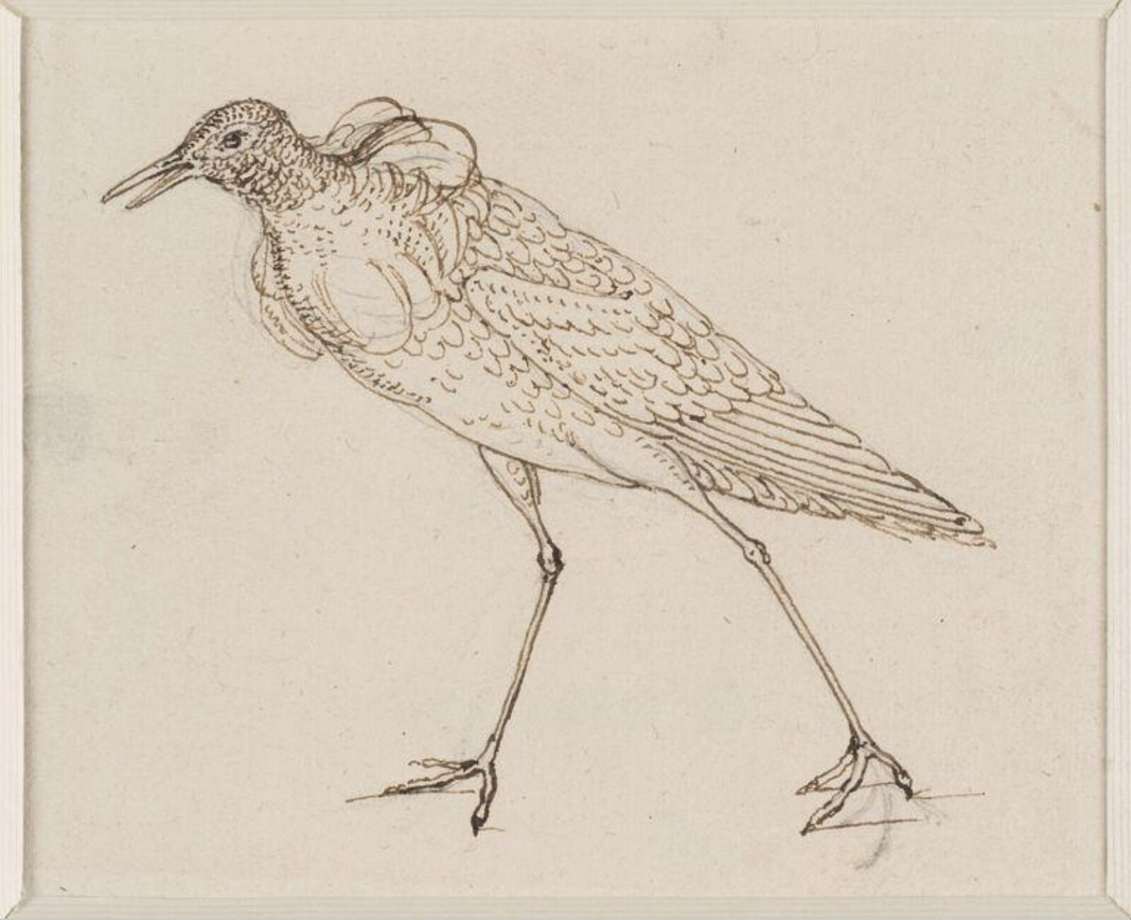 Drawing