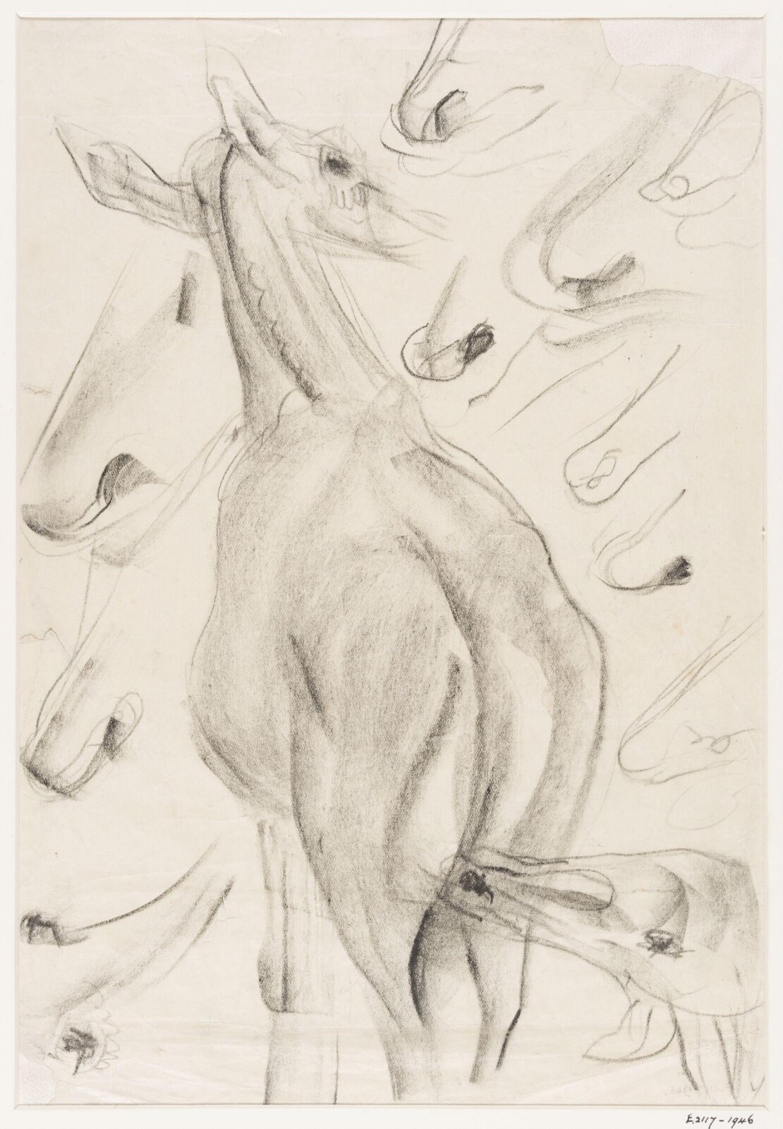 Drawing, Betty Purvis, ca.1920-1935