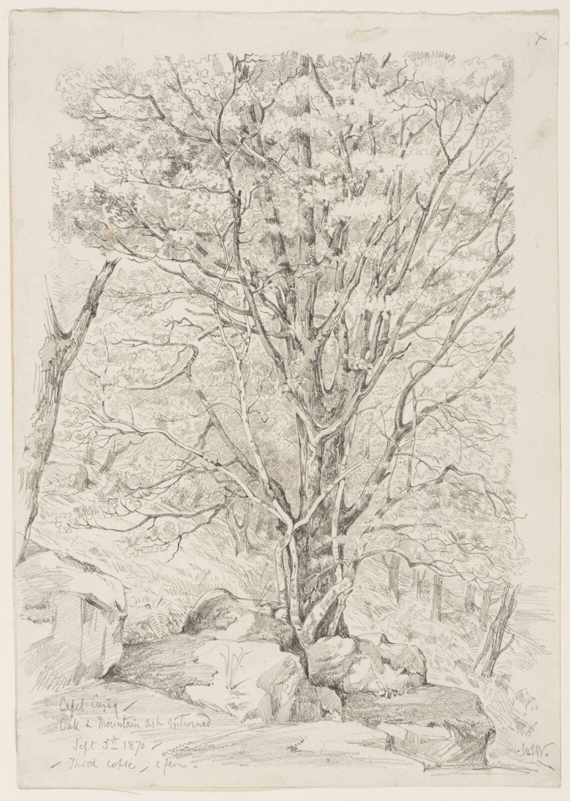 Drawing