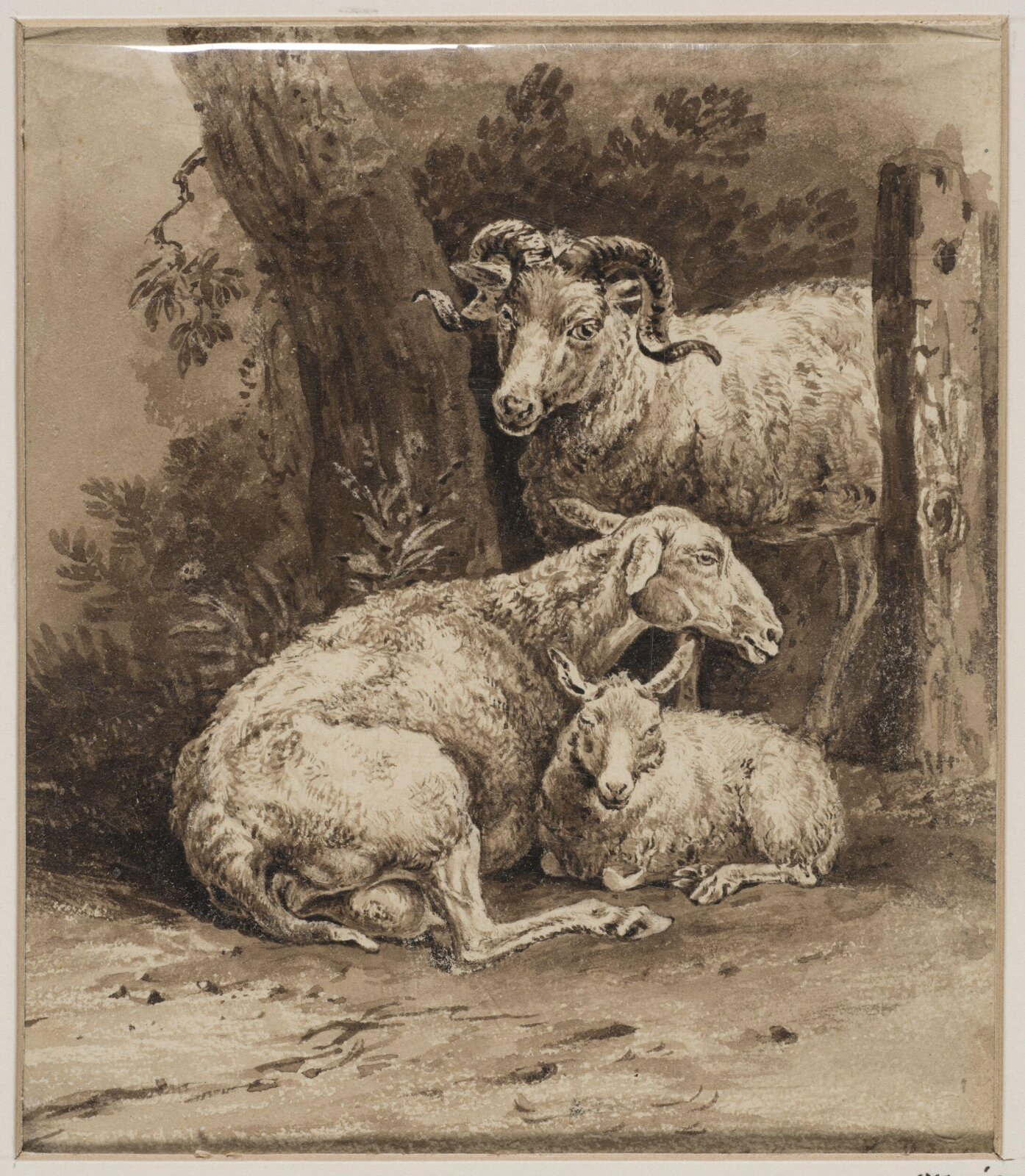 Drawing