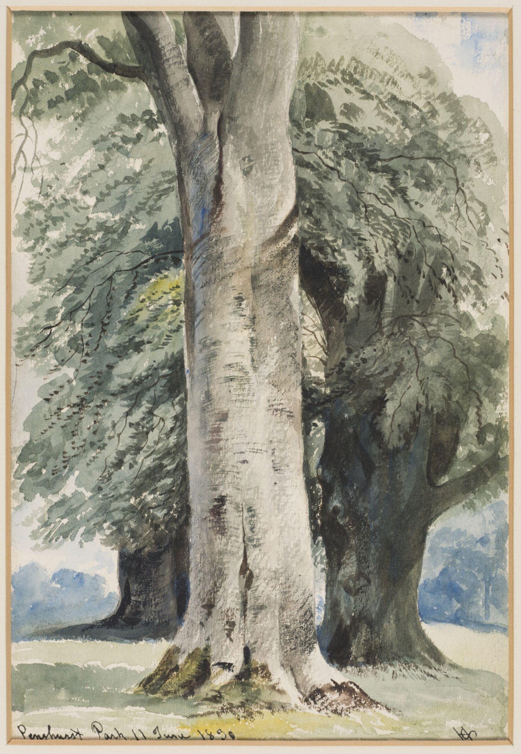 Penshurst Park, Henry Courtney Selous, 11 June 1830