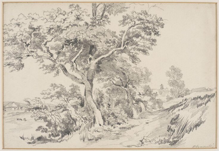 Study of Trees near Plymouth top image