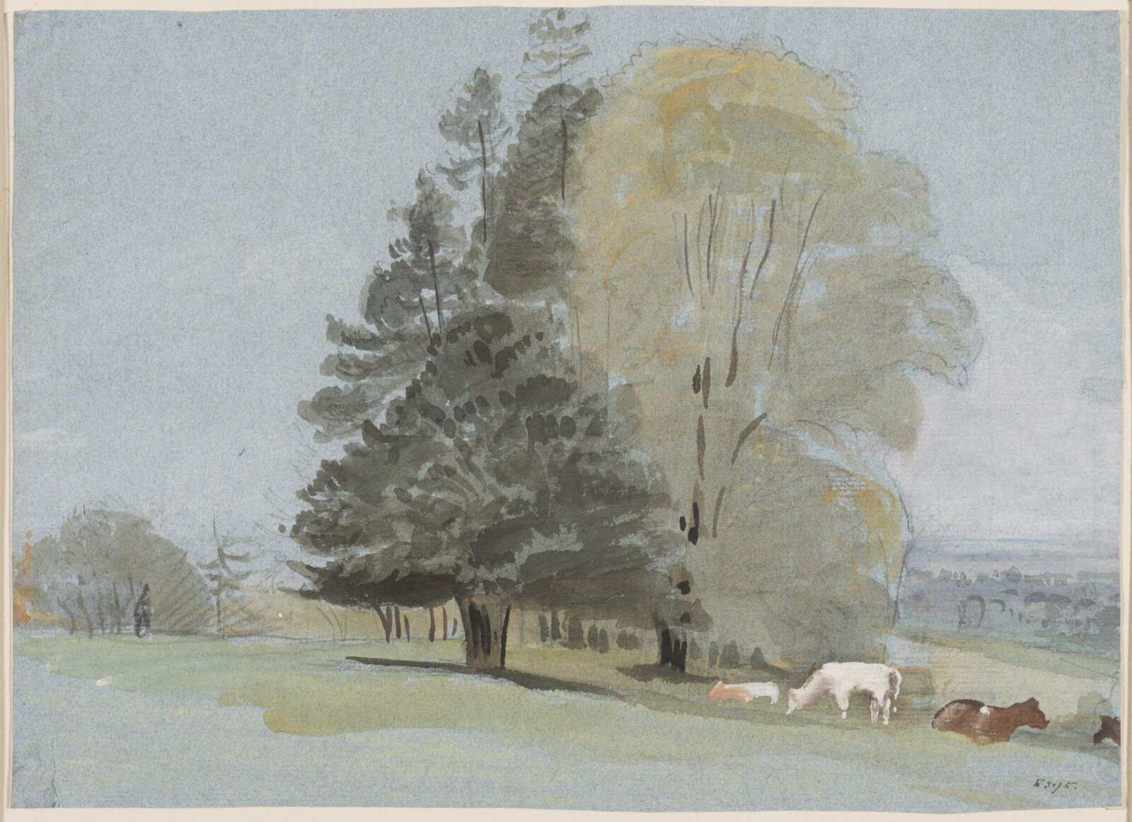 Drawing