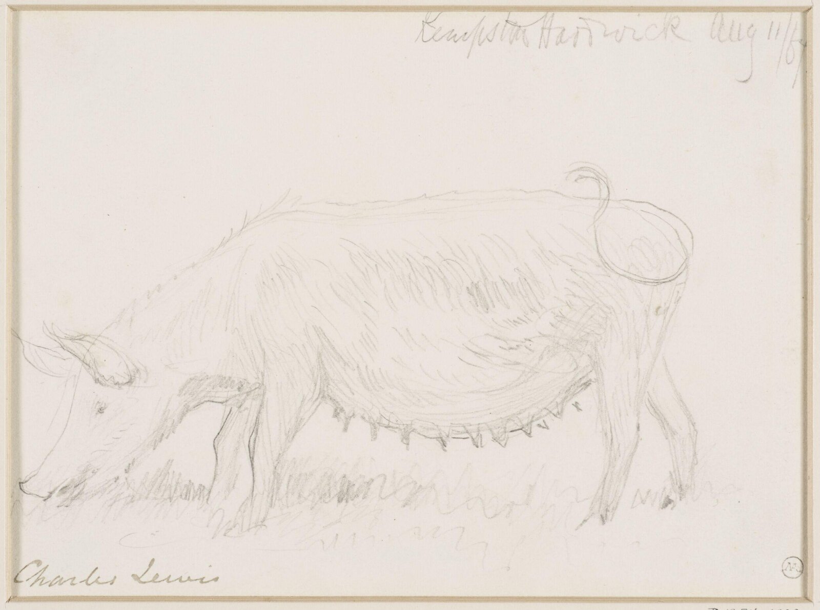 Drawing